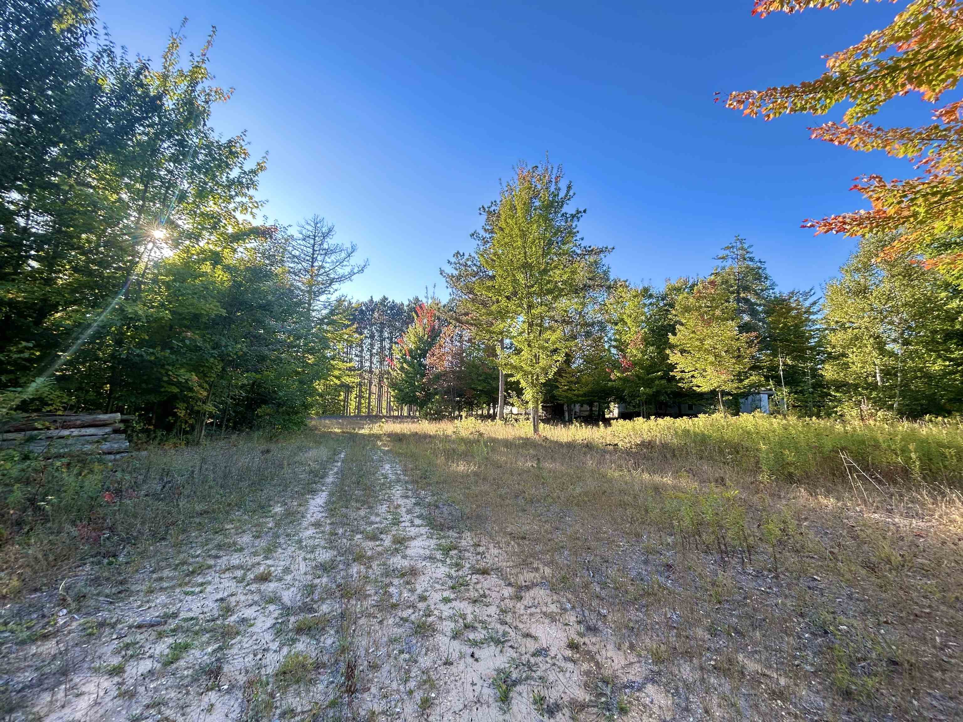 Land for sale at 00 Landis Rd, Thompsonville, MI 49683 | MLS# 78080074086