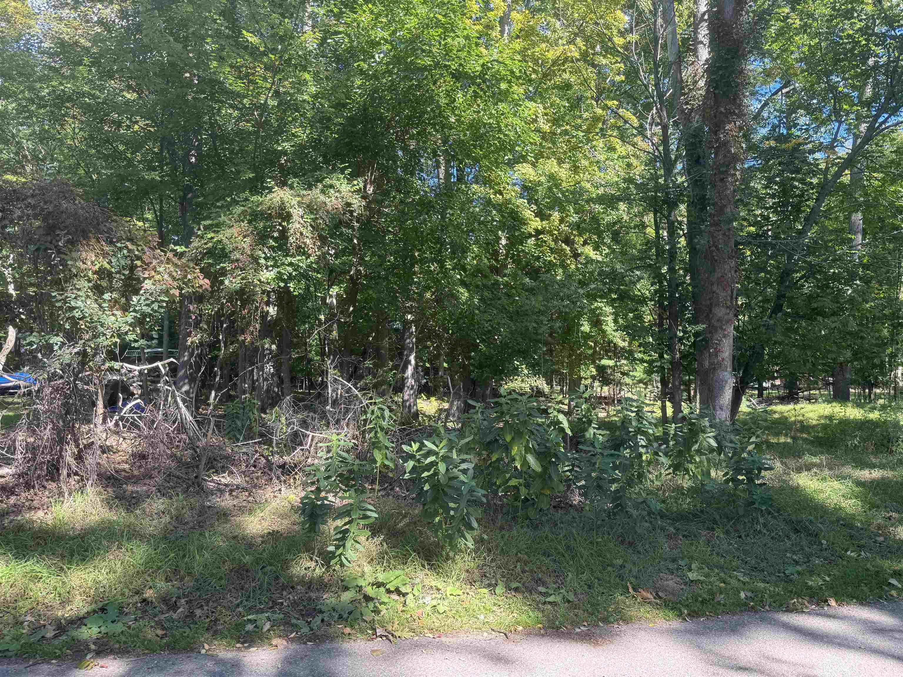Photo 1 of Land for sale at 0 Campbell Ave, Hale, MI 48739 | MLS# 77080074088 | Listing updated on 2026-10-04