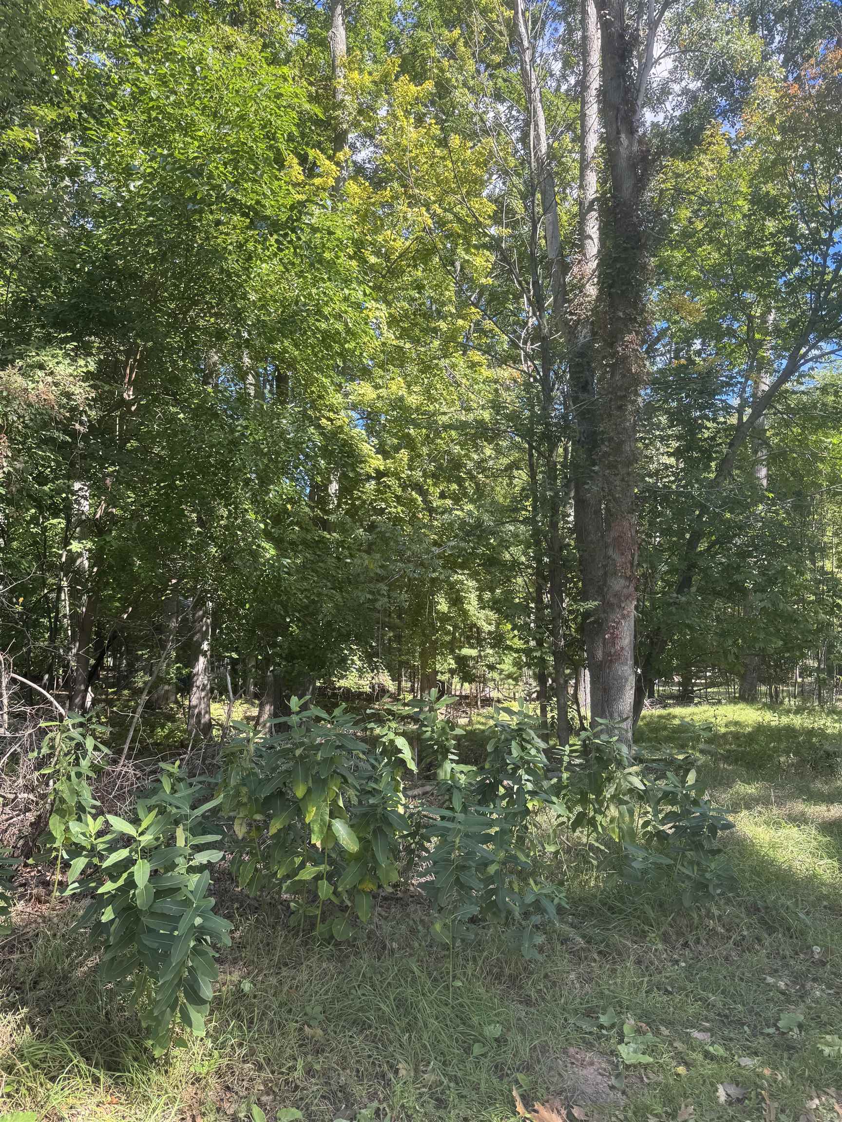 Photo 2 of Land for sale at 0 Campbell Ave, Hale, MI 48739 | MLS# 77080074088 | Listing updated on 2026-10-04