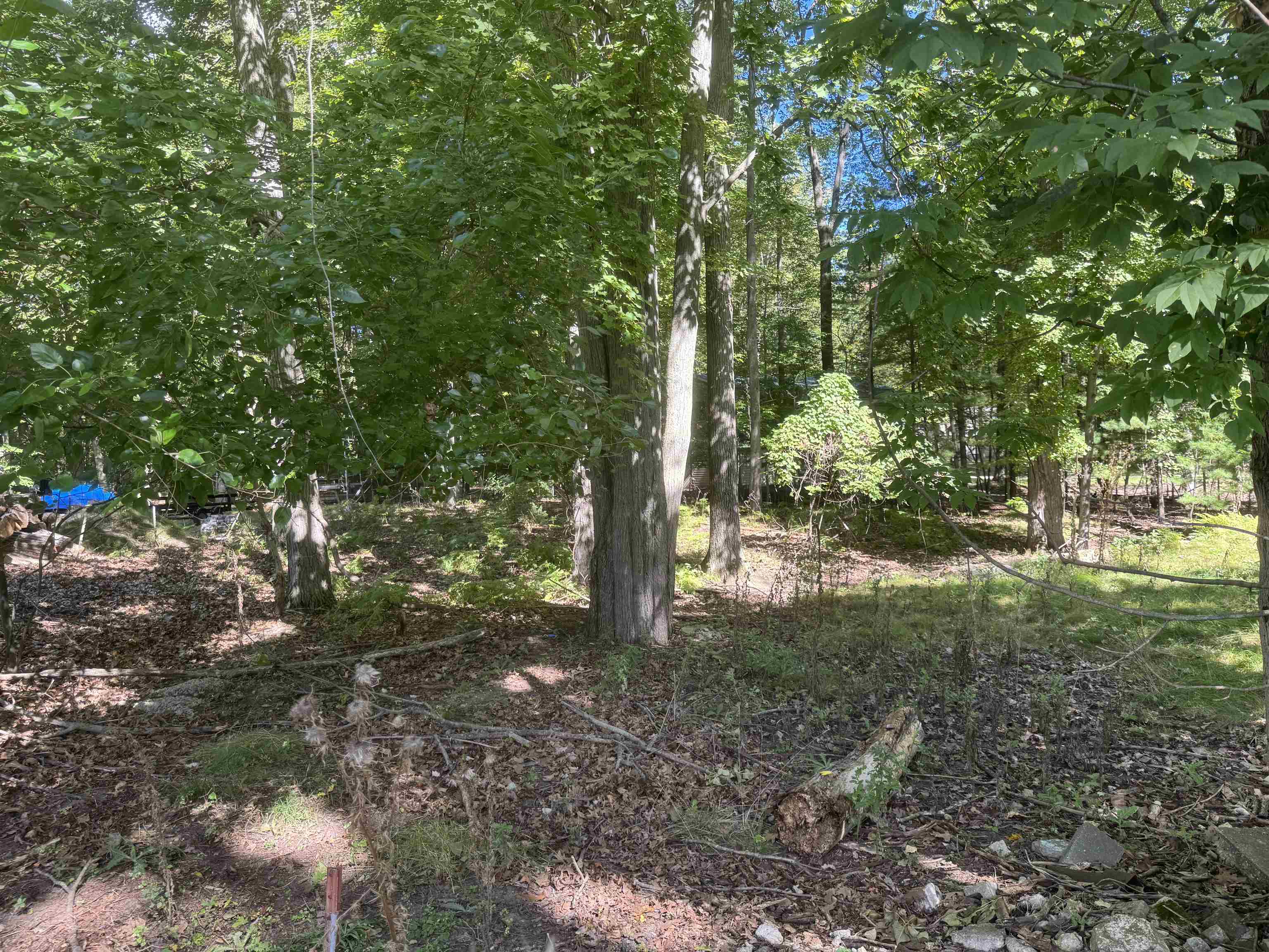 Photo 3 of Land for sale at 0 Campbell Ave, Hale, MI 48739 | MLS# 77080074088 | Listing updated on 2026-10-04