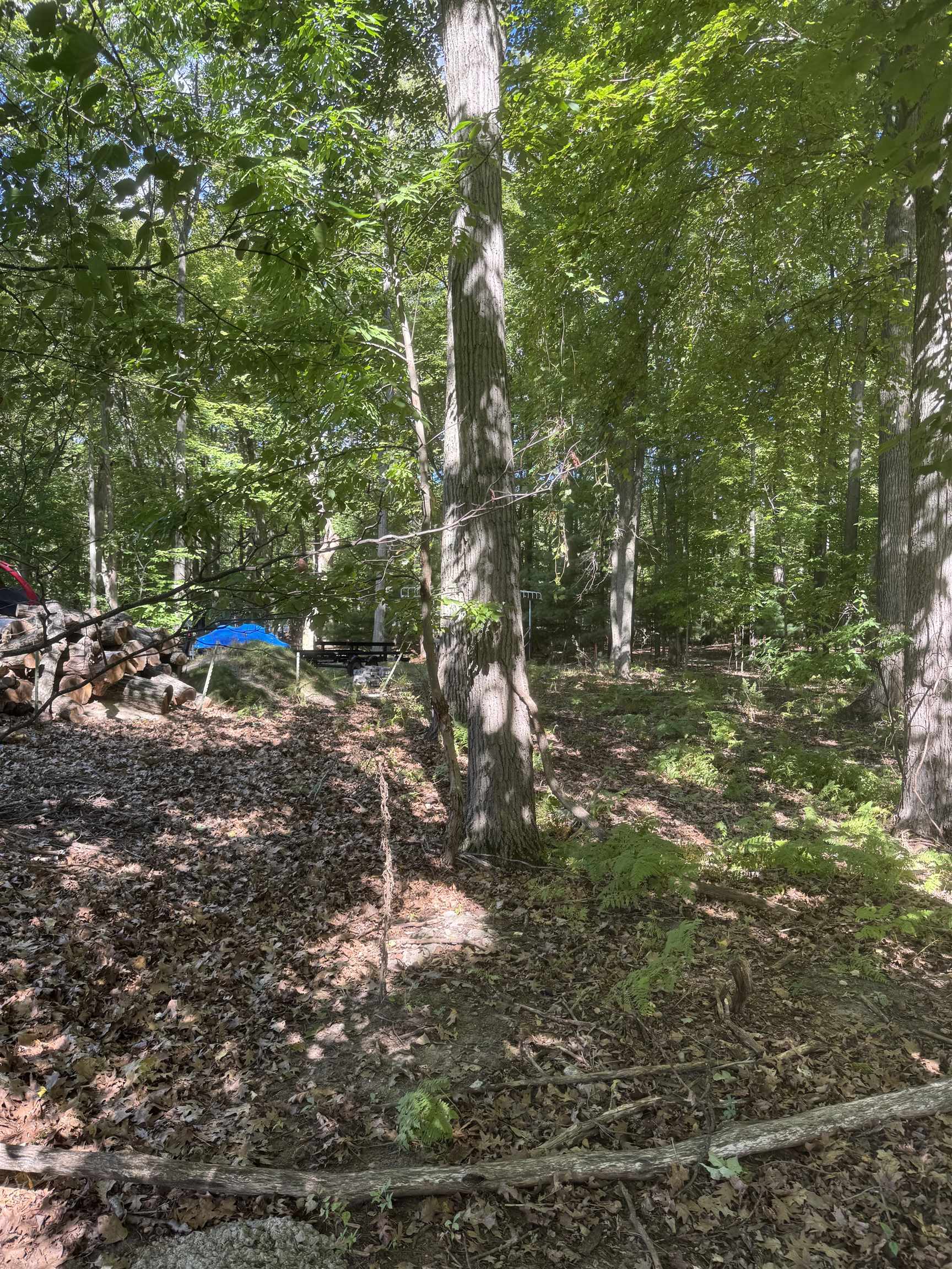 Photo 3 of Land for sale at 0 Campbell Ave, Hale, MI 48739 | MLS# 77080074088 | Listing updated on 2026-10-04