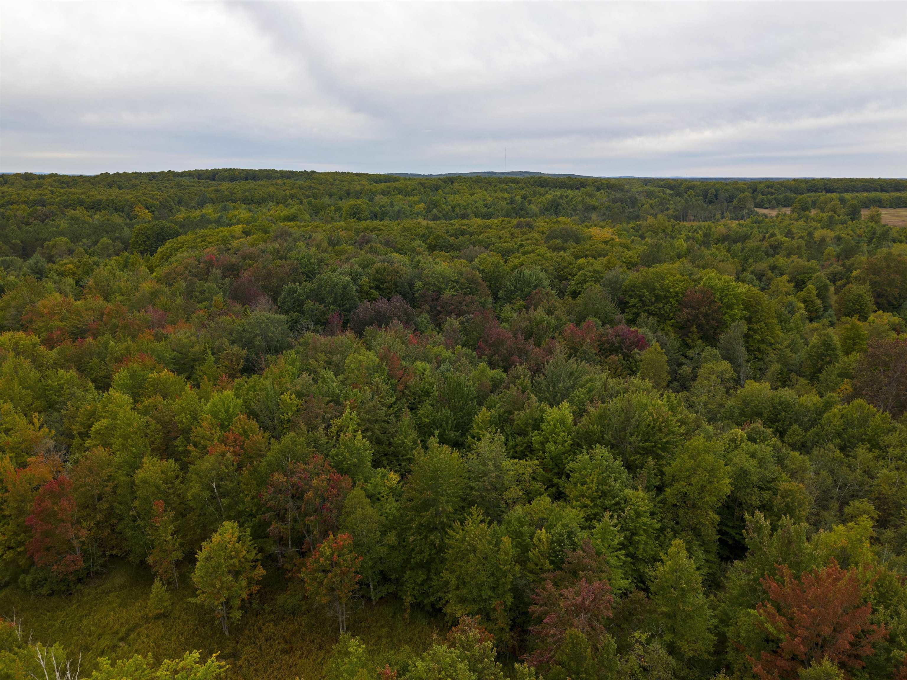 Photo 3 of Land for sale at 0000 Shively Rd, Fife Lake, MI 49633 | MLS# 78080074089 | Listing updated on 2026-10-07