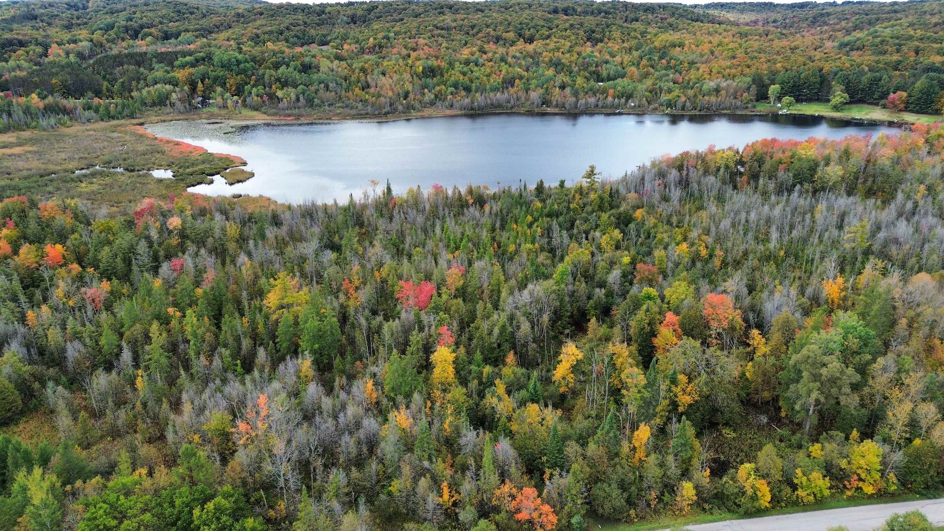 Land for sale at 0 Wilson Rd, East Jordan, MI 49727 | MLS# 78080074099