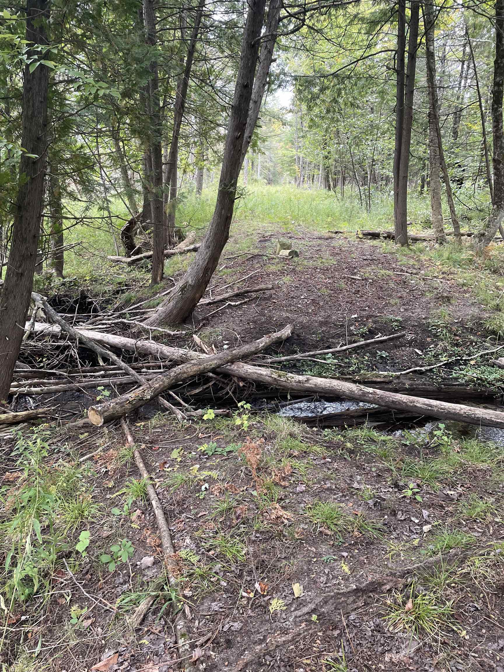 Photo 4 of Land for sale at 0 Wilson Rd, East Jordan, MI 49727 | MLS# 78080074099 | Listing updated on 2026-10-04
