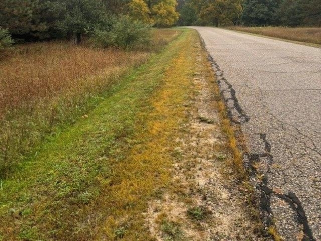 Photo 2 of Land for sale at 00 Bush Rd, Bellaire, MI 49615 | MLS# 78080074125 | Listing updated on 2026-10-07