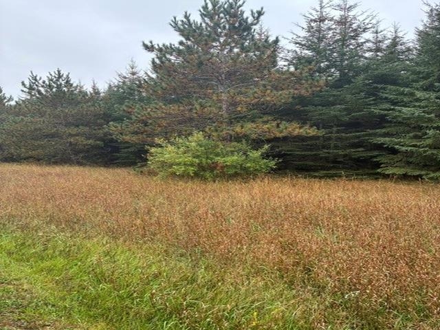 Photo 3 of Land for sale at 00 Bush Rd, Bellaire, MI 49615 | MLS# 78080074125 | Listing updated on 2026-10-07