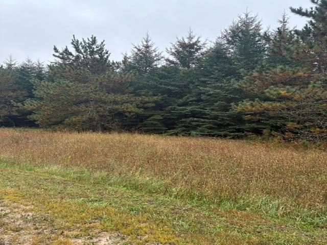 Photo 4 of Land for sale at 00 Bush Rd, Bellaire, MI 49615 | MLS# 78080074125 | Listing updated on 2026-10-07