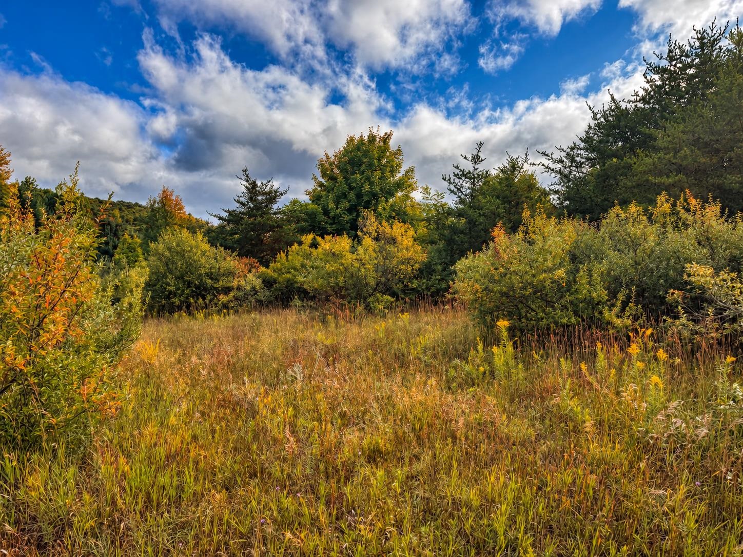 Photo 3 of Land for sale at Parcel E 3 / 4 Darga Rd, Cedar, MI 49621 | MLS# 80074133 | Listing updated on 2026-10-04