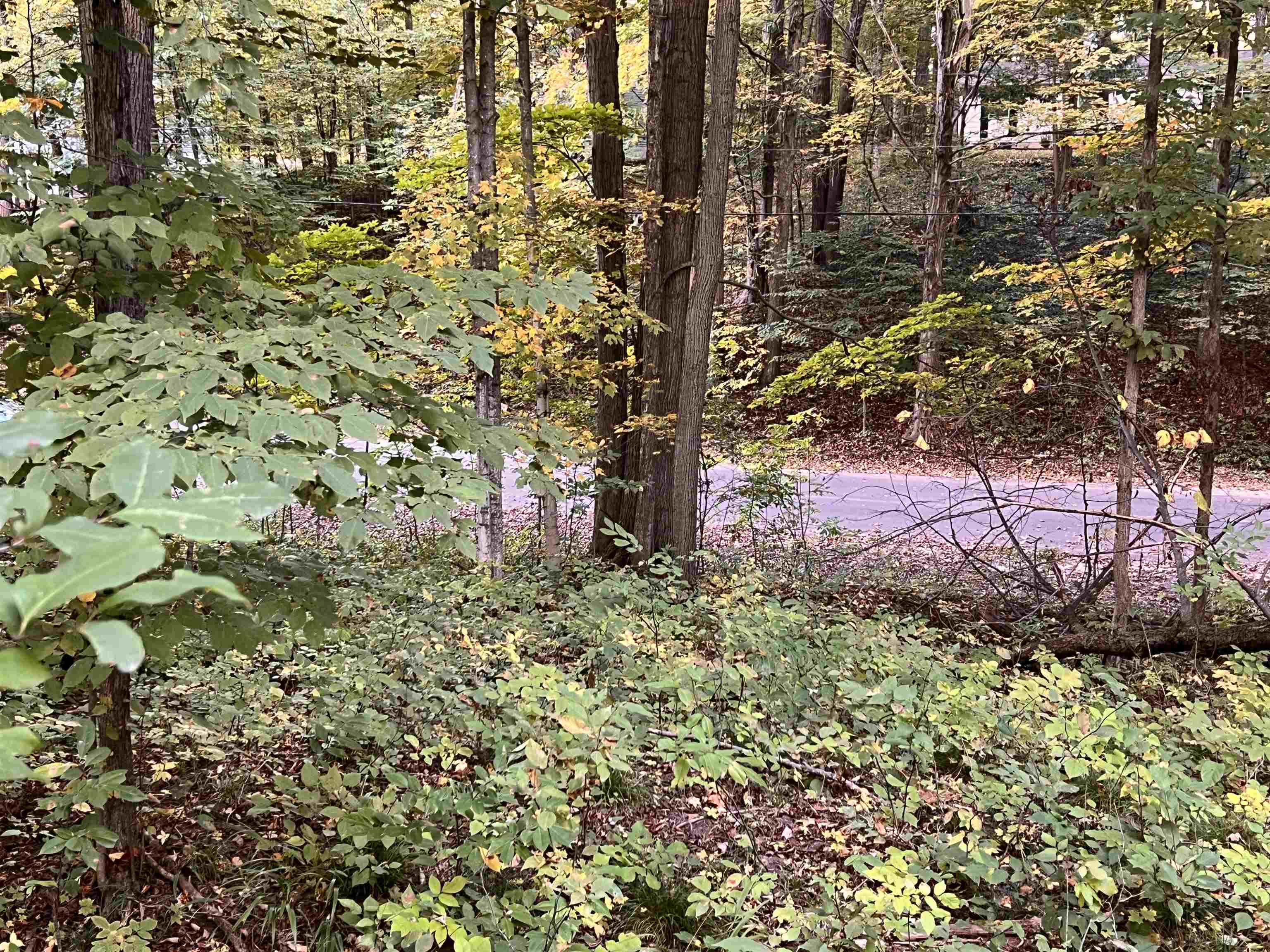 Photo 1 of Land for sale at Lot 71 Birch View Trl, Lake Ann, MI 49650 | MLS# 78080074160 | Listing updated on 2026-10-05
