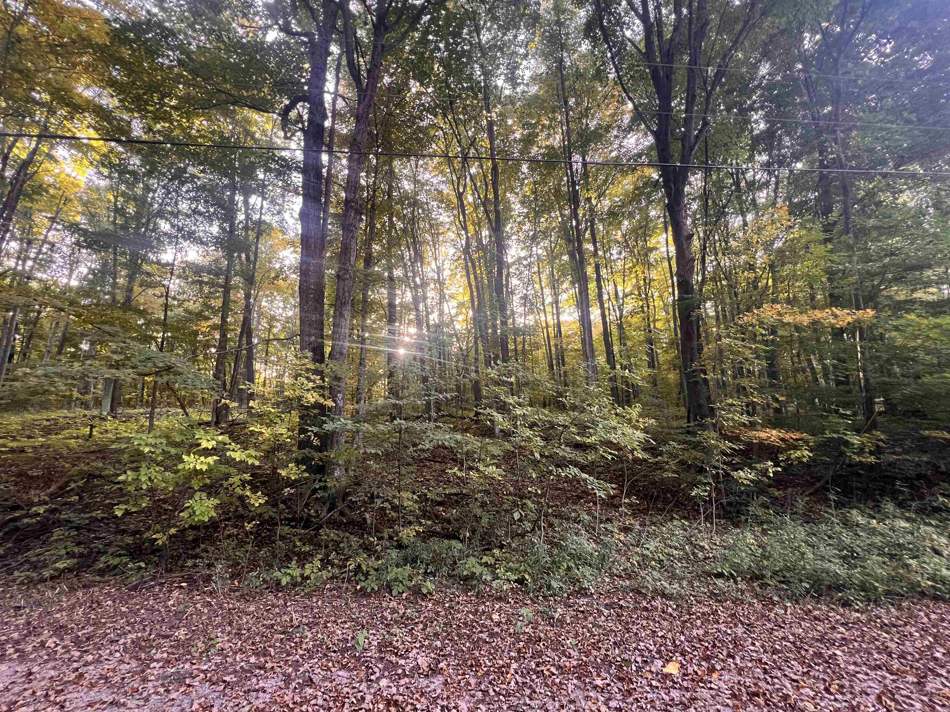 Photo 3 of Land for sale at Lot 71 Birch View Trl, Lake Ann, MI 49650 | MLS# 78080074160 | Listing updated on 2026-10-05