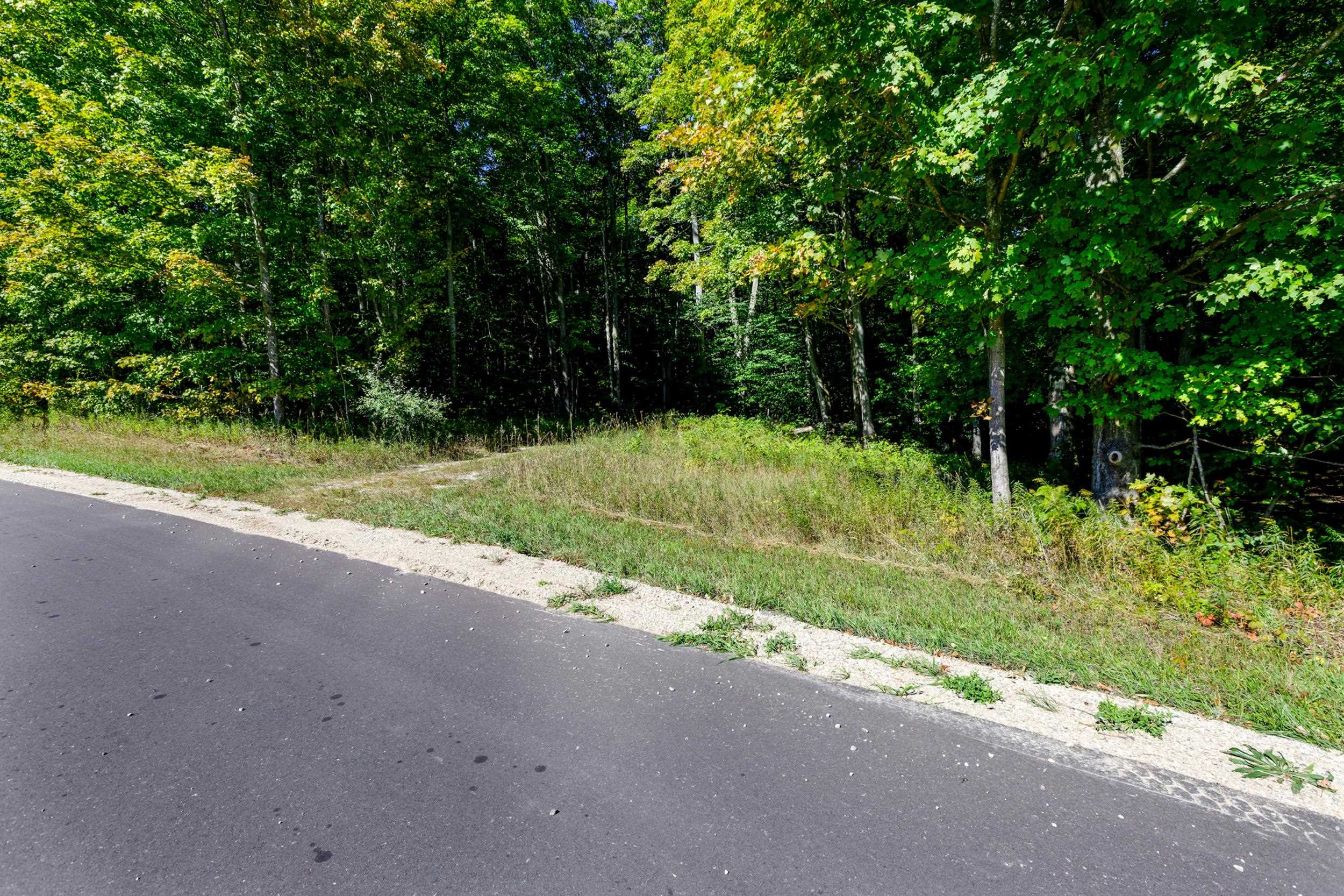 Photo 1 of Land for sale at 00 Ballard Rd, Benzonia, MI 49616 | MLS# 78080074162 | Listing updated on 2026-10-05