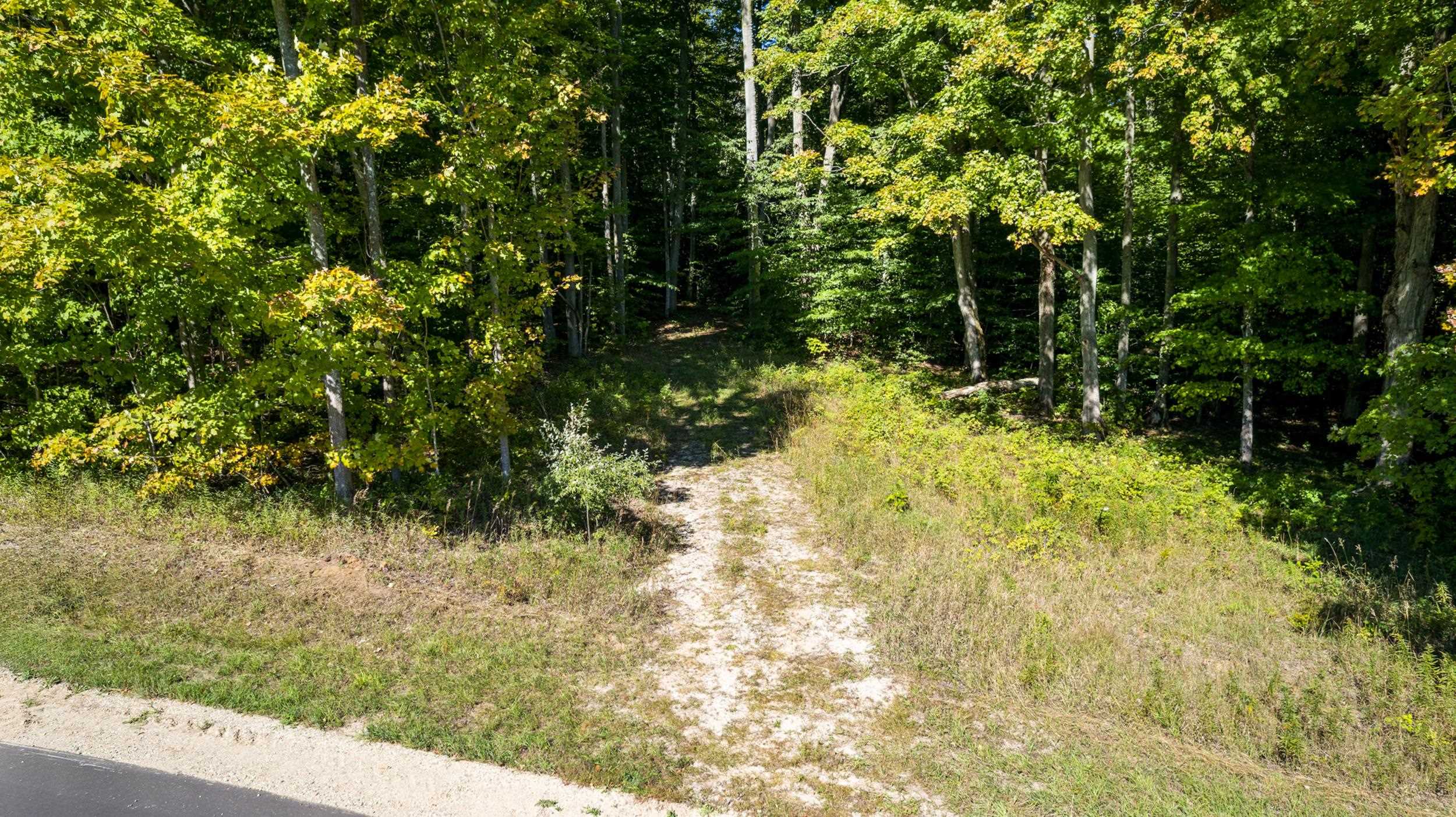 Photo 2 of Land for sale at 00 Ballard Rd, Benzonia, MI 49616 | MLS# 78080074162 | Listing updated on 2026-10-05