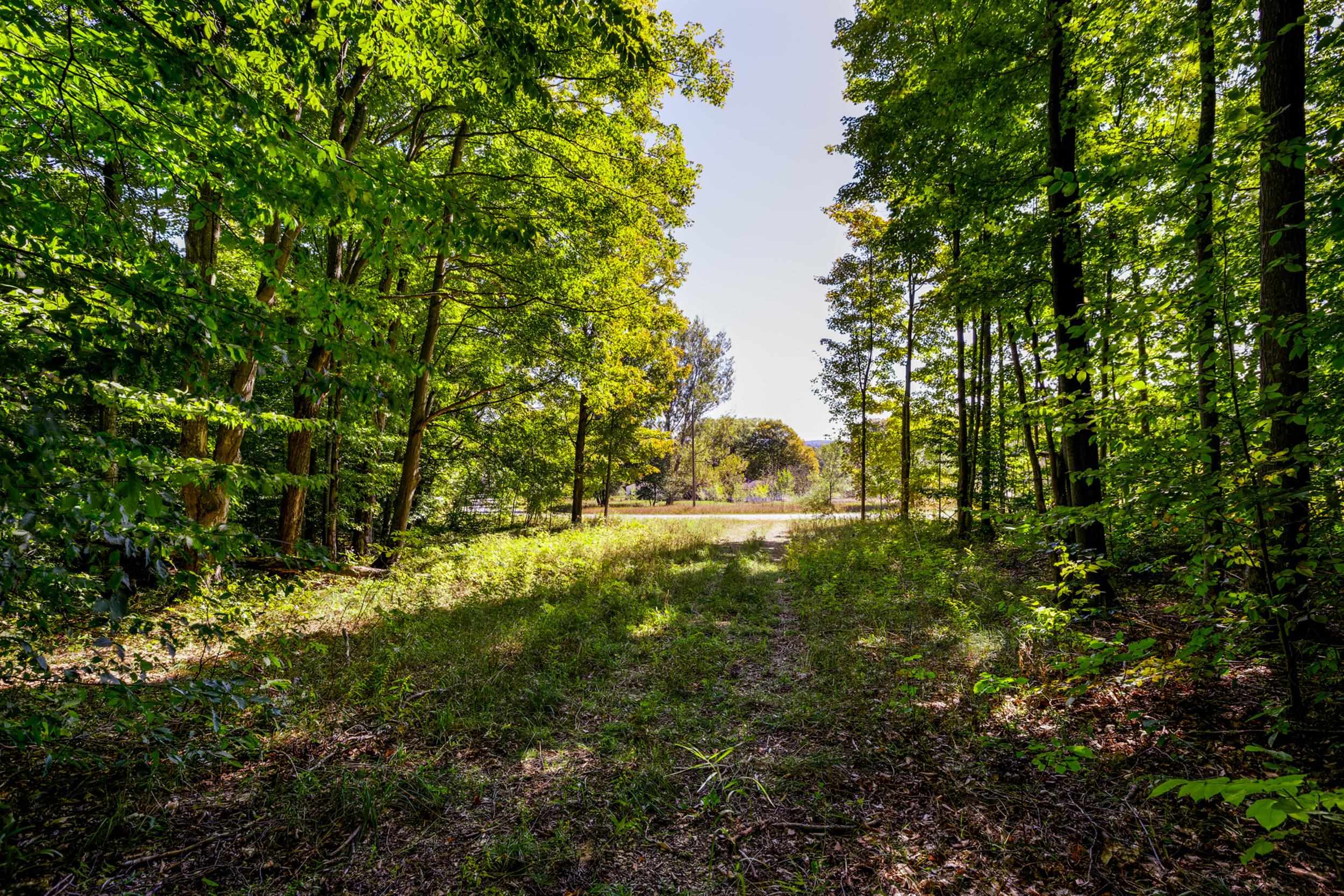 Photo 3 of Land for sale at 00 Ballard Rd, Benzonia, MI 49616 | MLS# 78080074162 | Listing updated on 2026-10-05