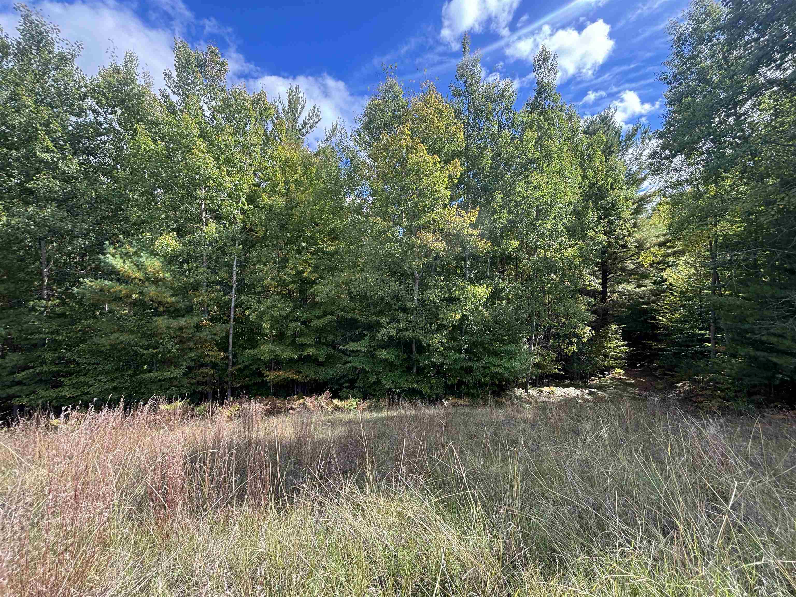 Photo 3 of Land for sale at 5479 Glendenning Trl, Williamsburg, MI 49690 | MLS# 78080074179 | Listing updated on 2026-10-05