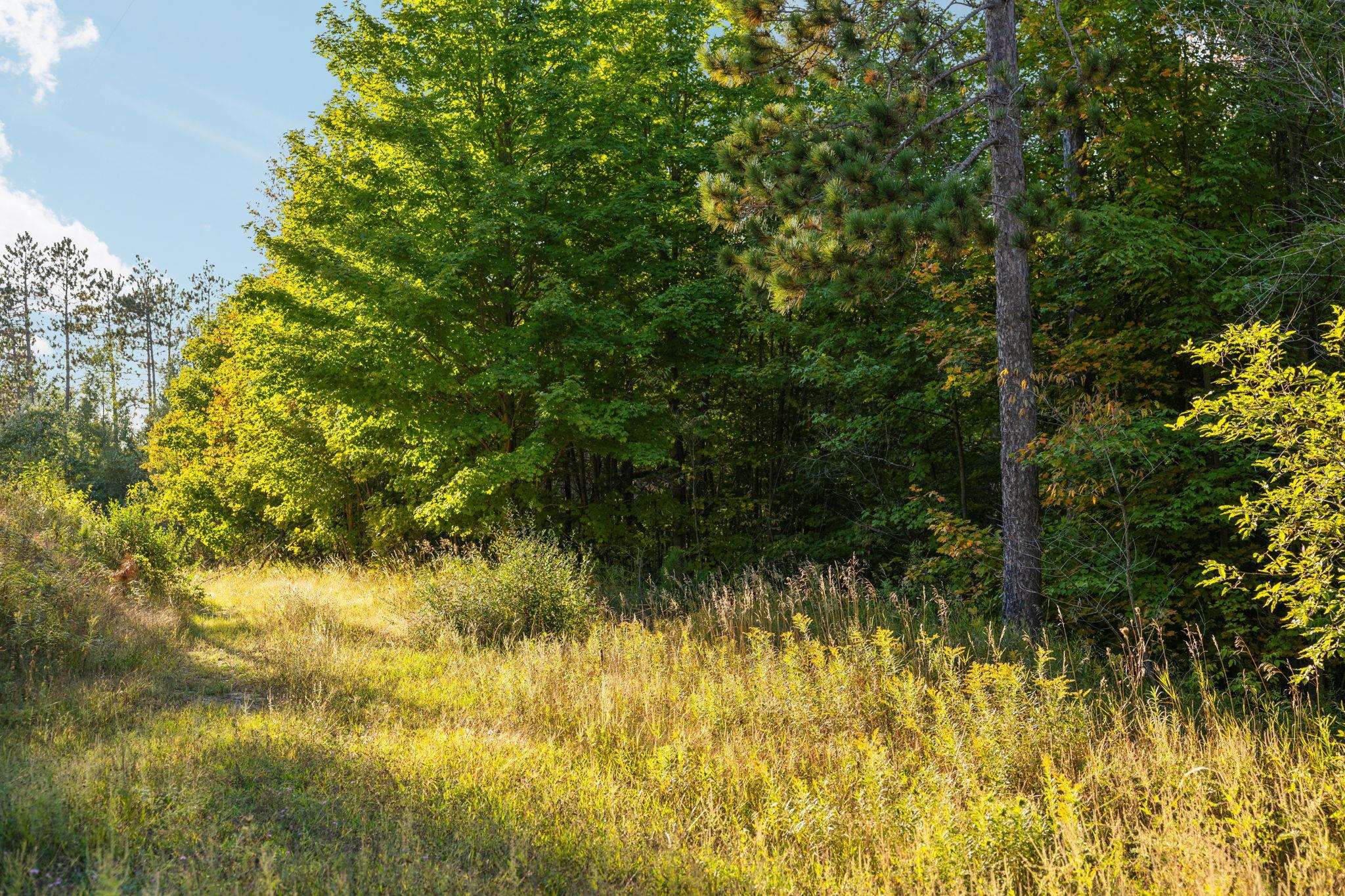 Photo 2 of Land for sale at 171 Ne Colt Rd, Kalkaska, MI 49646 | MLS# 78080074183 | Listing updated on 2026-10-05