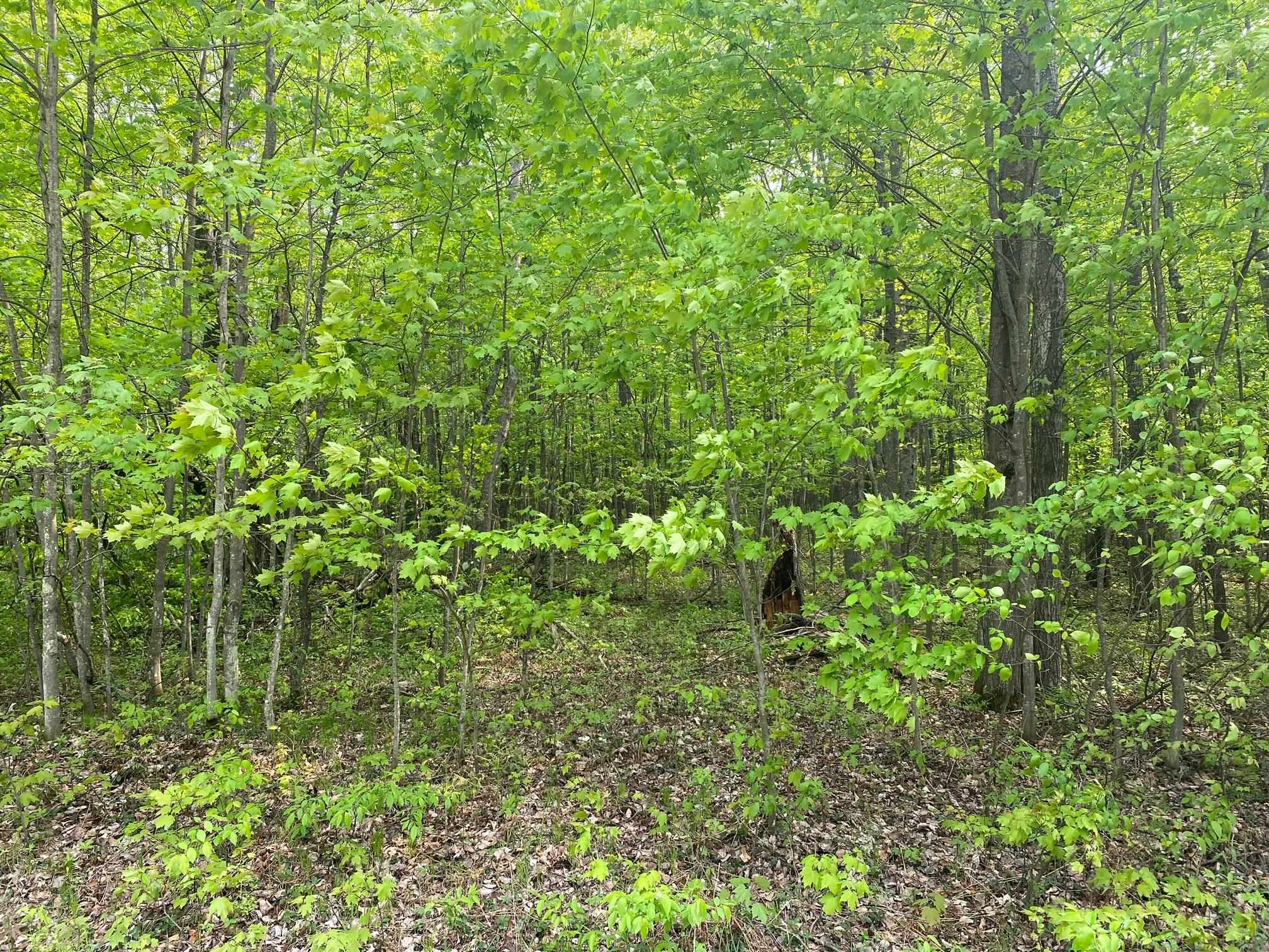 Land for sale at Fribourg Dr, Reed City, MI 49677 | MLS# 78080074190
