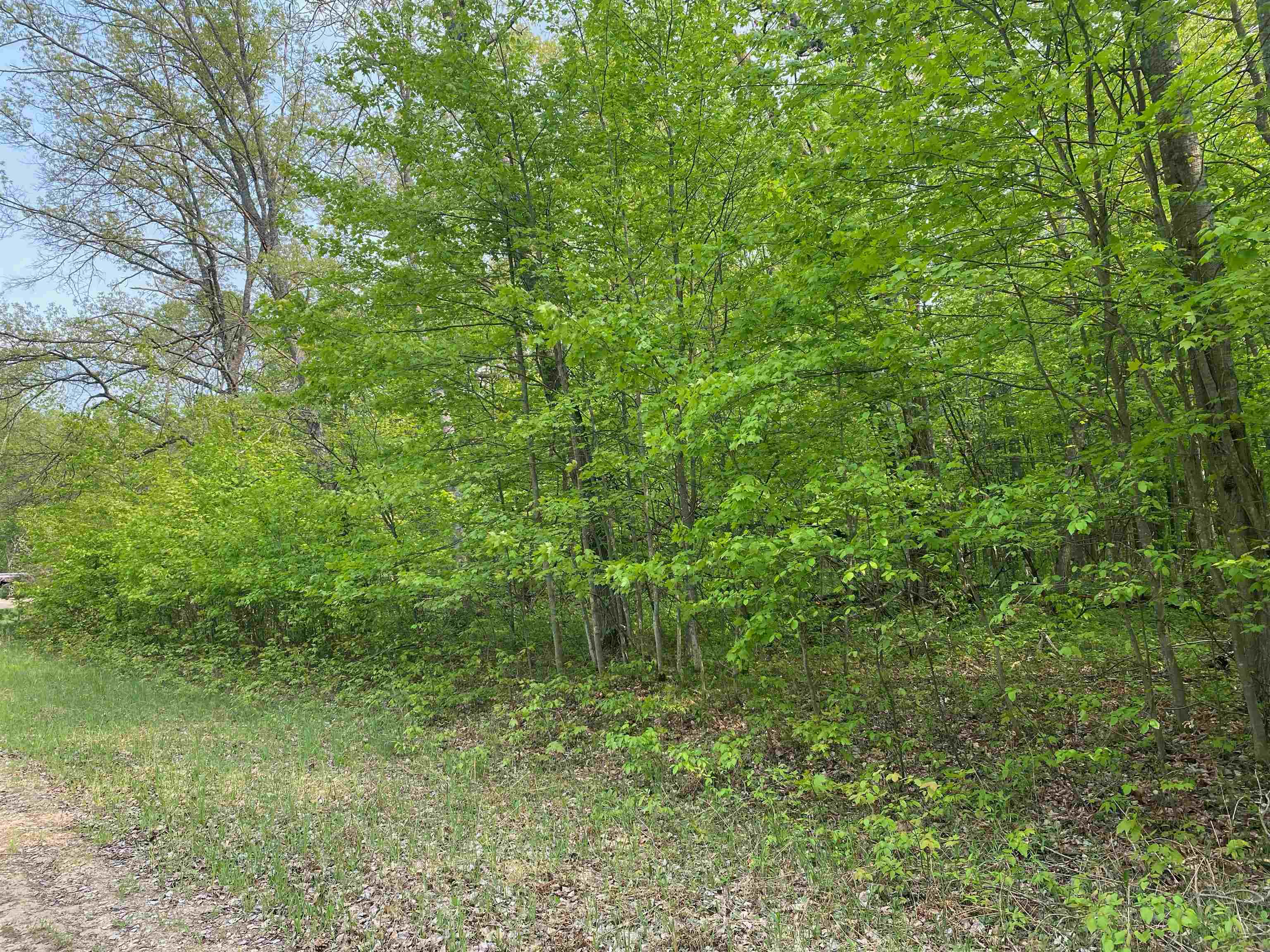 Photo 1 of Land for sale at Fribourg Dr, Reed City, MI 49677 | MLS# 78080074190 | Listing updated on 2026-10-05