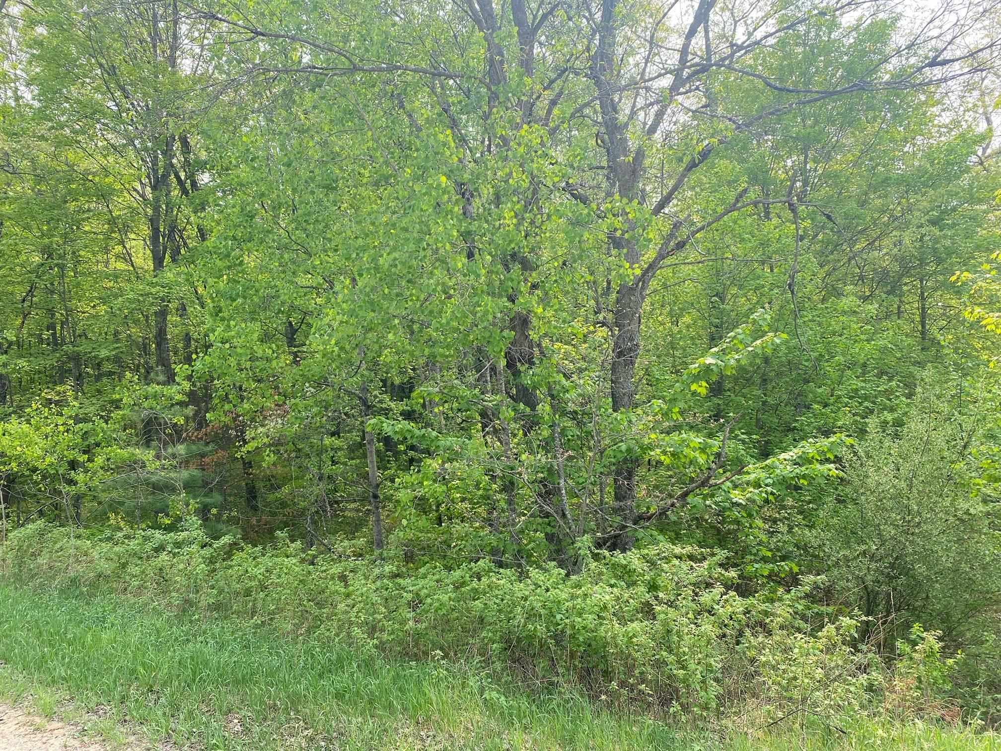 Photo 2 of Land for sale at Fribourg Dr, Reed City, MI 49677 | MLS# 78080074190 | Listing updated on 2026-10-05
