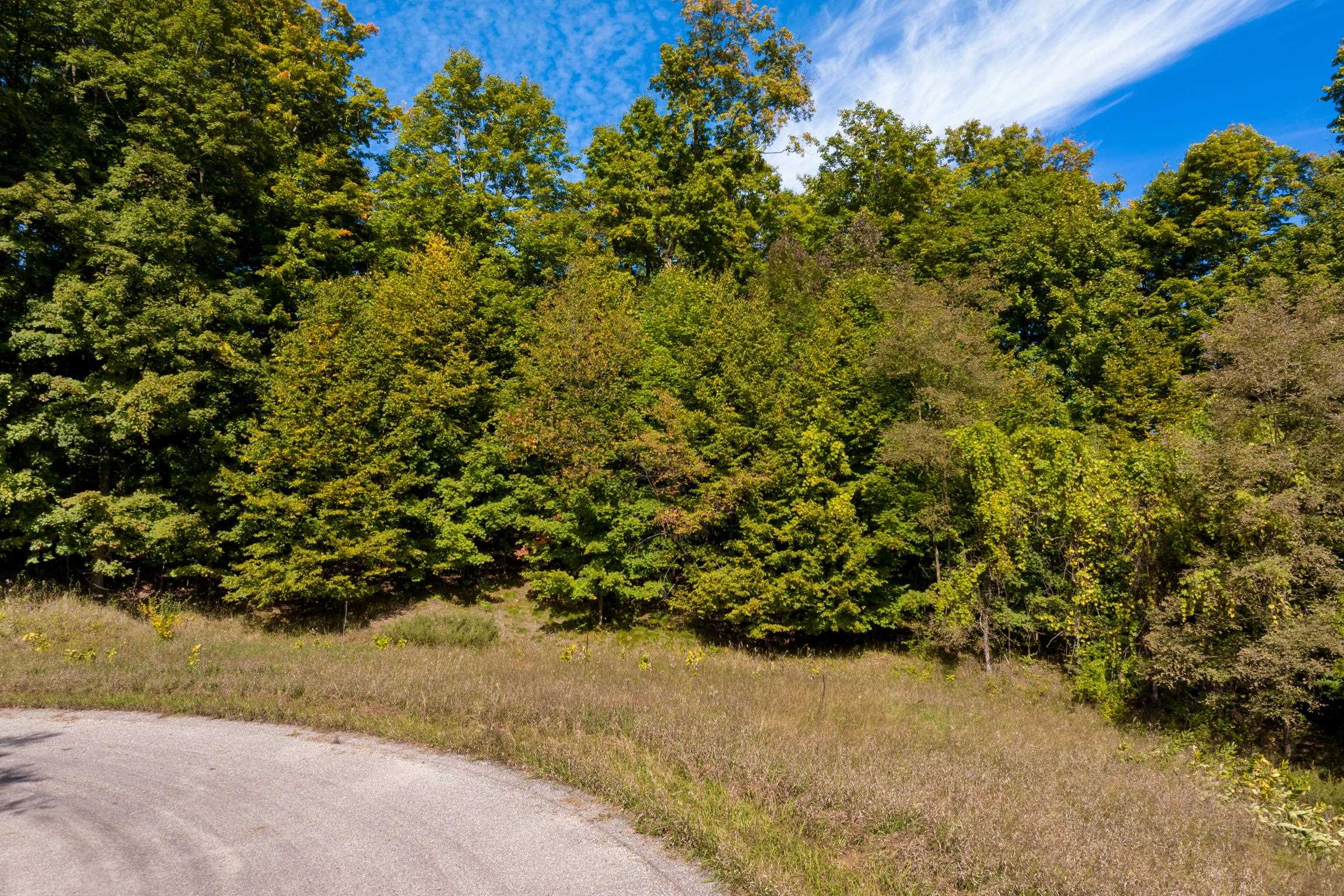 Photo 2 of Land for sale at Lot 8 Timber Valley Ct, Rapid City, MI 49676 | MLS# 78080074202 | Listing updated on 2026-10-06