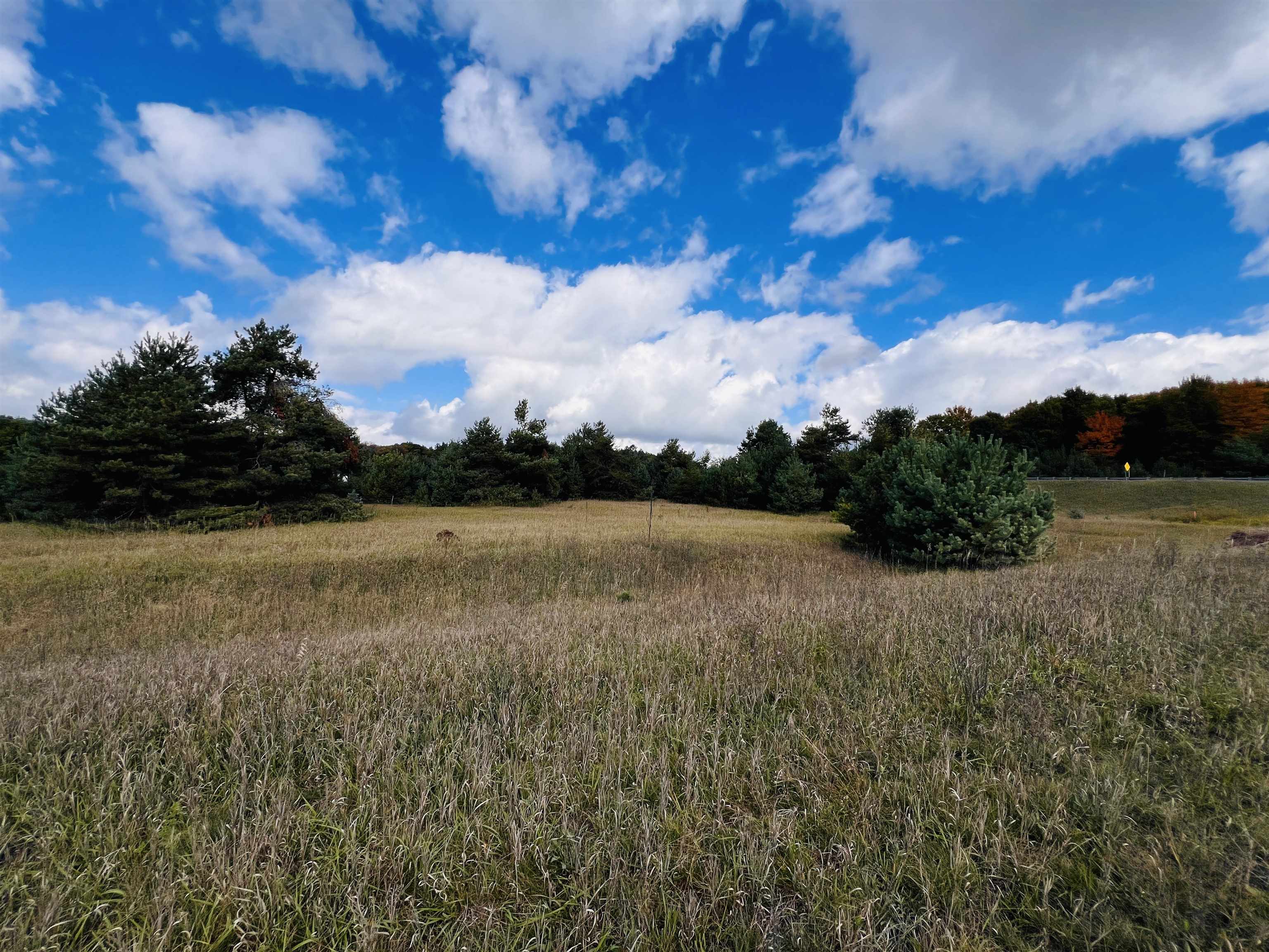 Photo 3 of Land for sale at 0 S Mackinaw Trl, Cadillac, MI 49601 | MLS# 78080074205 | Listing updated on 2026-10-06