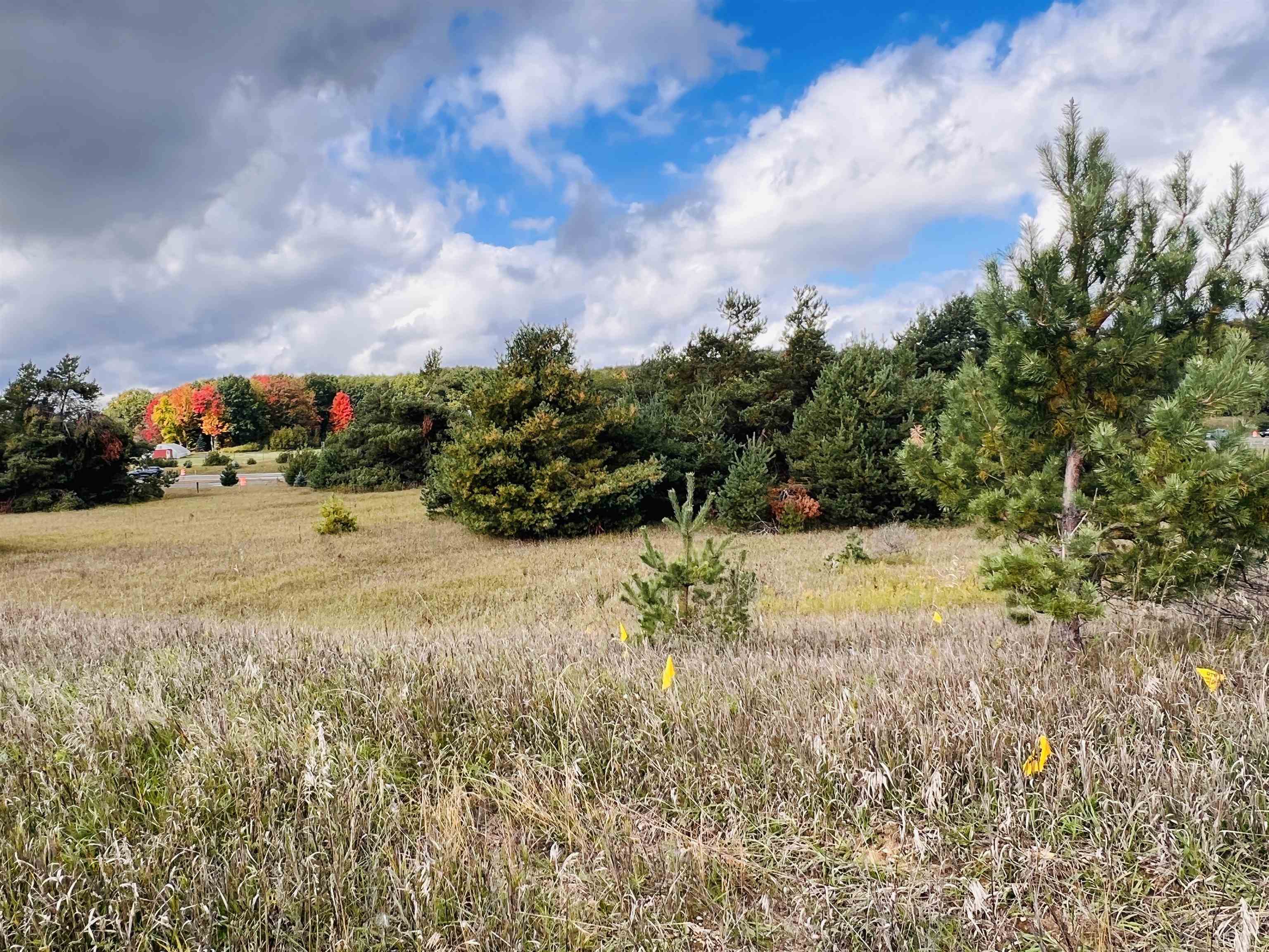 Photo 4 of Land for sale at 0 S Mackinaw Trl, Cadillac, MI 49601 | MLS# 78080074205 | Listing updated on 2026-10-06