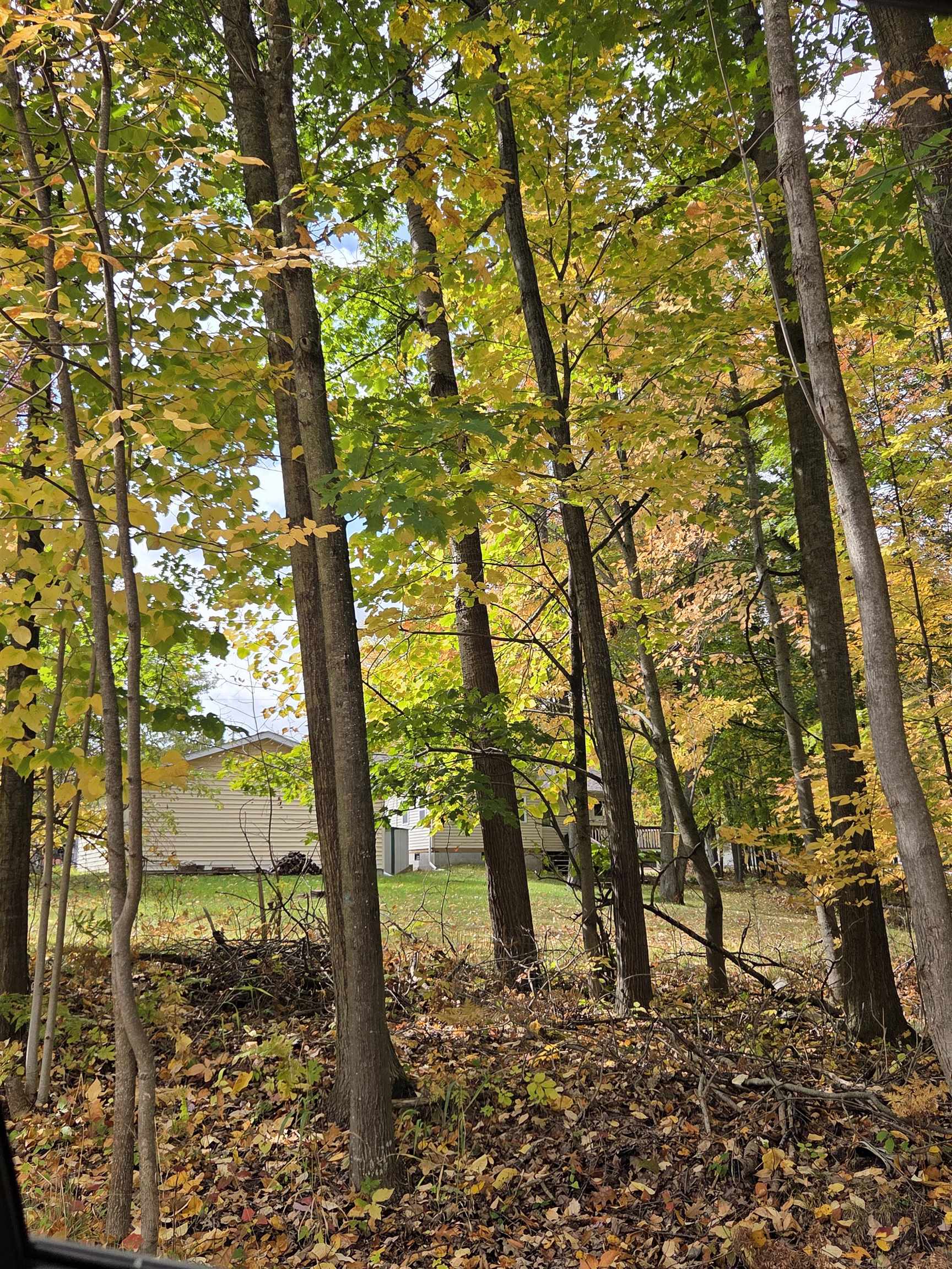 Photo 4 of Single family home for sale at 4885 Lewis, Lupton, MI 48635 | MLS# 77080074216 | Listing updated on 2026-10-07