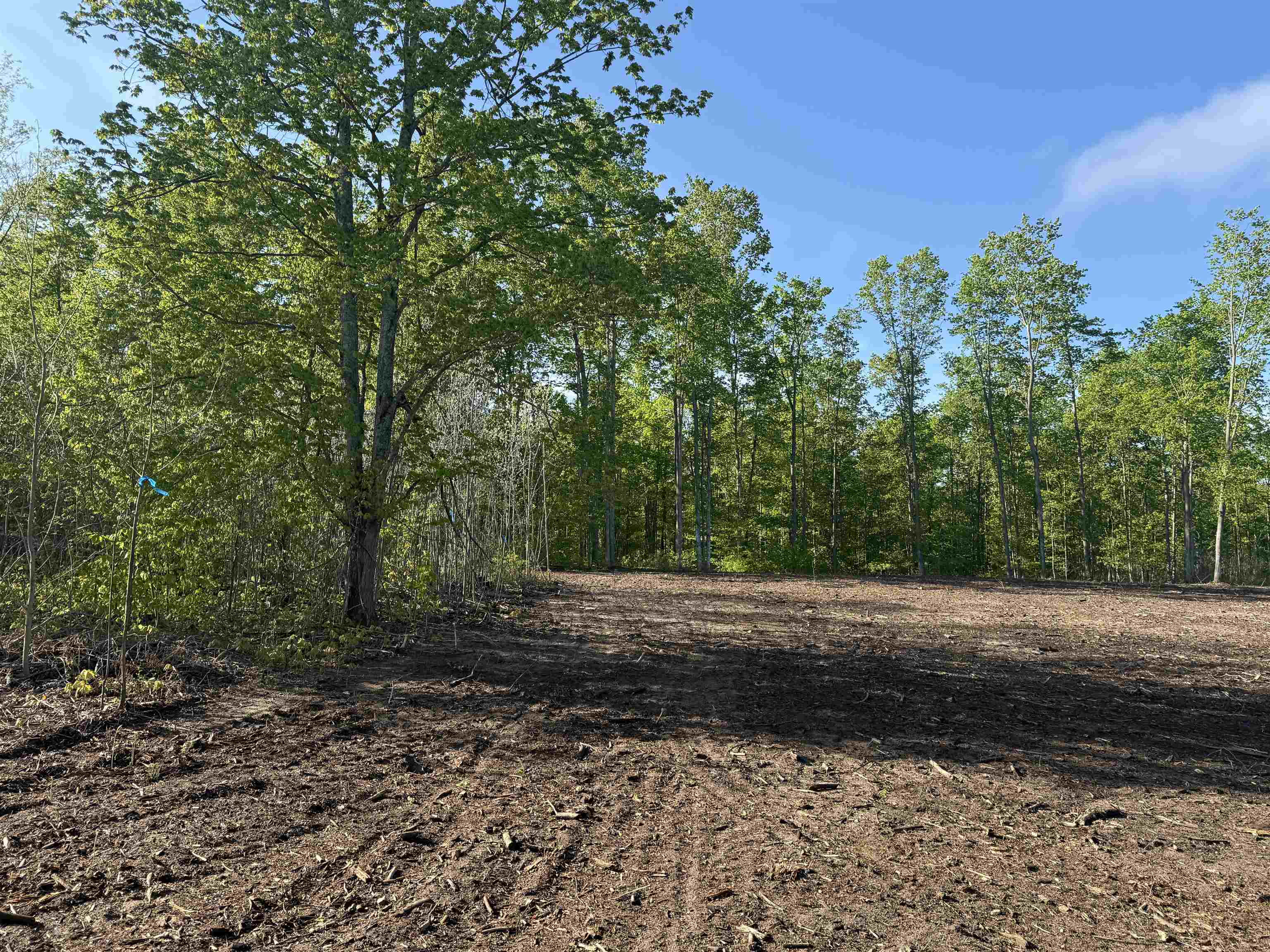Photo 3 of Land for sale at 1060 E Solaris Way, Maple City, MI 49664 | MLS# 80074224 | Listing updated on 2026-10-05