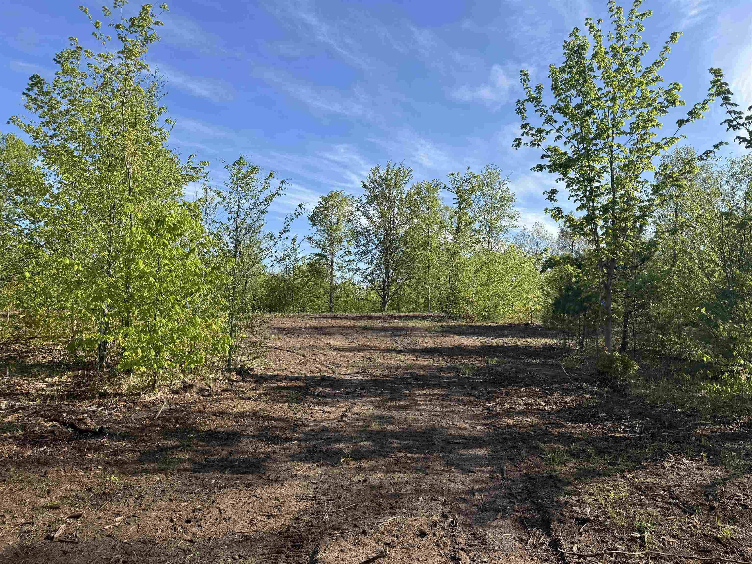 Photo 4 of Land for sale at 1087 E Solaris Way, Maple City, MI 49664 | MLS# 80074226 | Listing updated on 2026-10-05