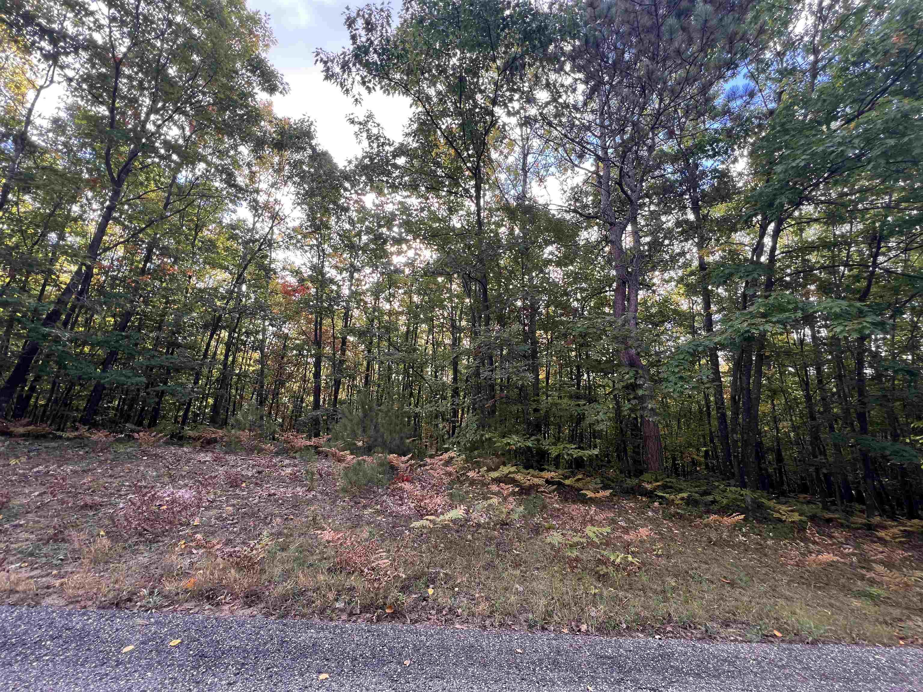 Photo 1 of Land for sale at Lot 53 Bramblewood Dr, Cadillac, MI 49601 | MLS# 78080074239 | Listing updated on 2026-10-05