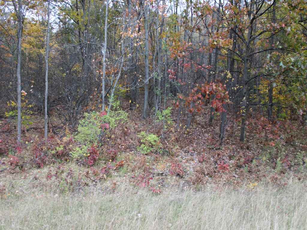 Photo 4 of Land for sale at Lot 53 Bramblewood Dr, Cadillac, MI 49601 | MLS# 78080074239 | Listing updated on 2026-10-05