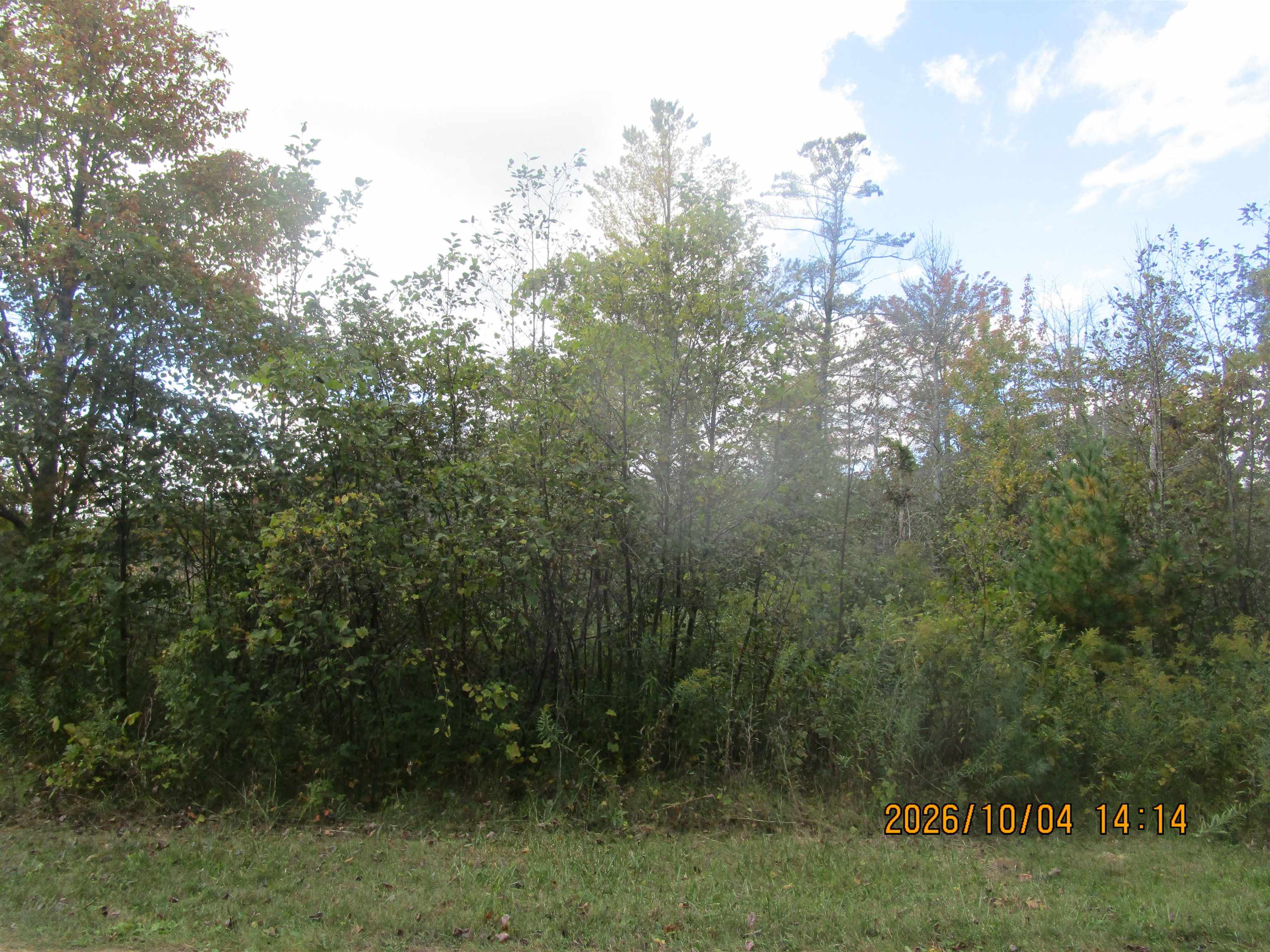 Land for sale at 00 Ausable Point Rd, East Tawas, MI 48730 | MLS# 77080074244