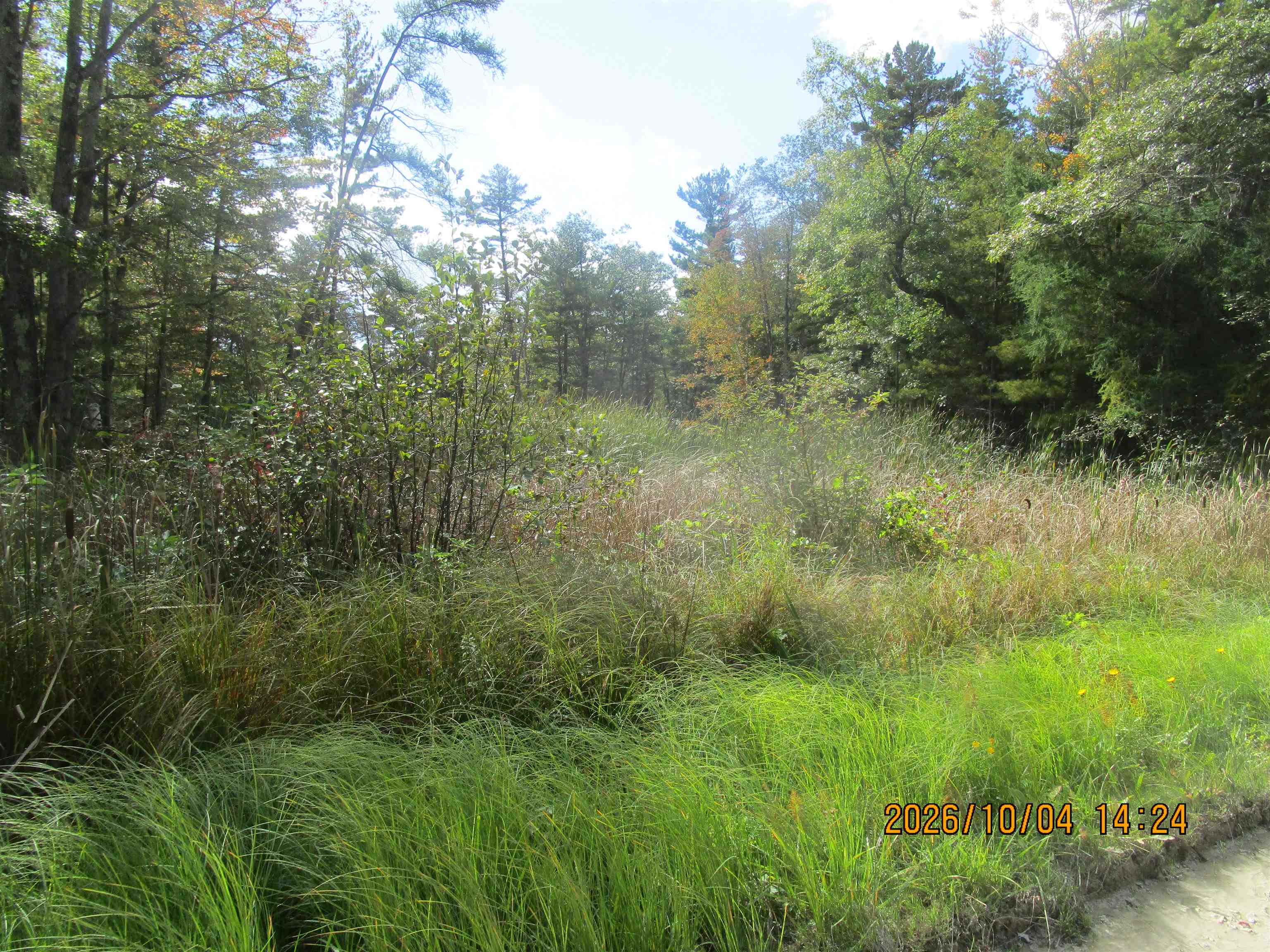 Photo 3 of Land for sale at 00 Ausable Point Rd, East Tawas, MI 48730 | MLS# 77080074244 | Listing updated on 2026-10-05