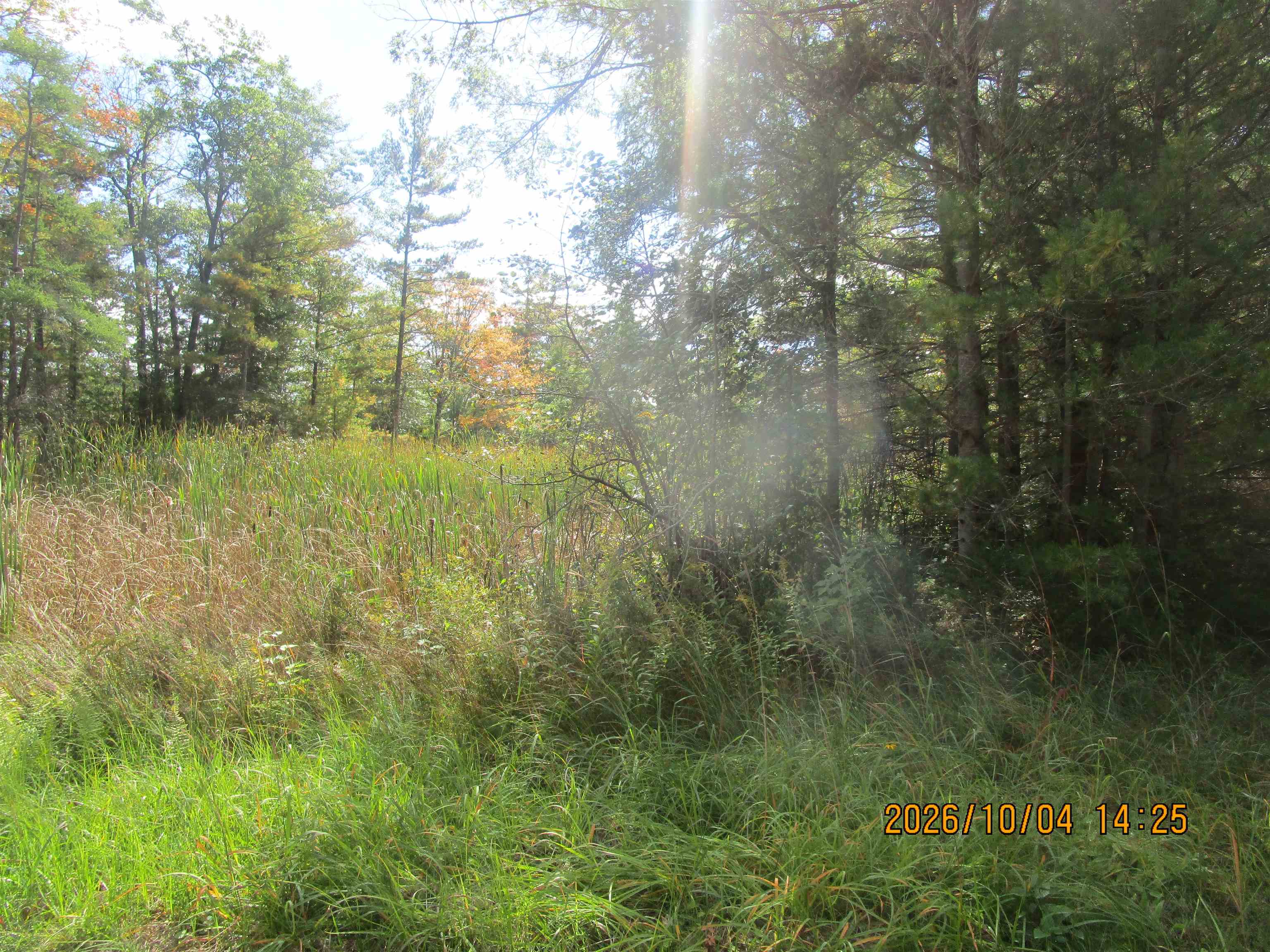 Photo 4 of Land for sale at 00 Ausable Point Rd, East Tawas, MI 48730 | MLS# 77080074244 | Listing updated on 2026-10-05