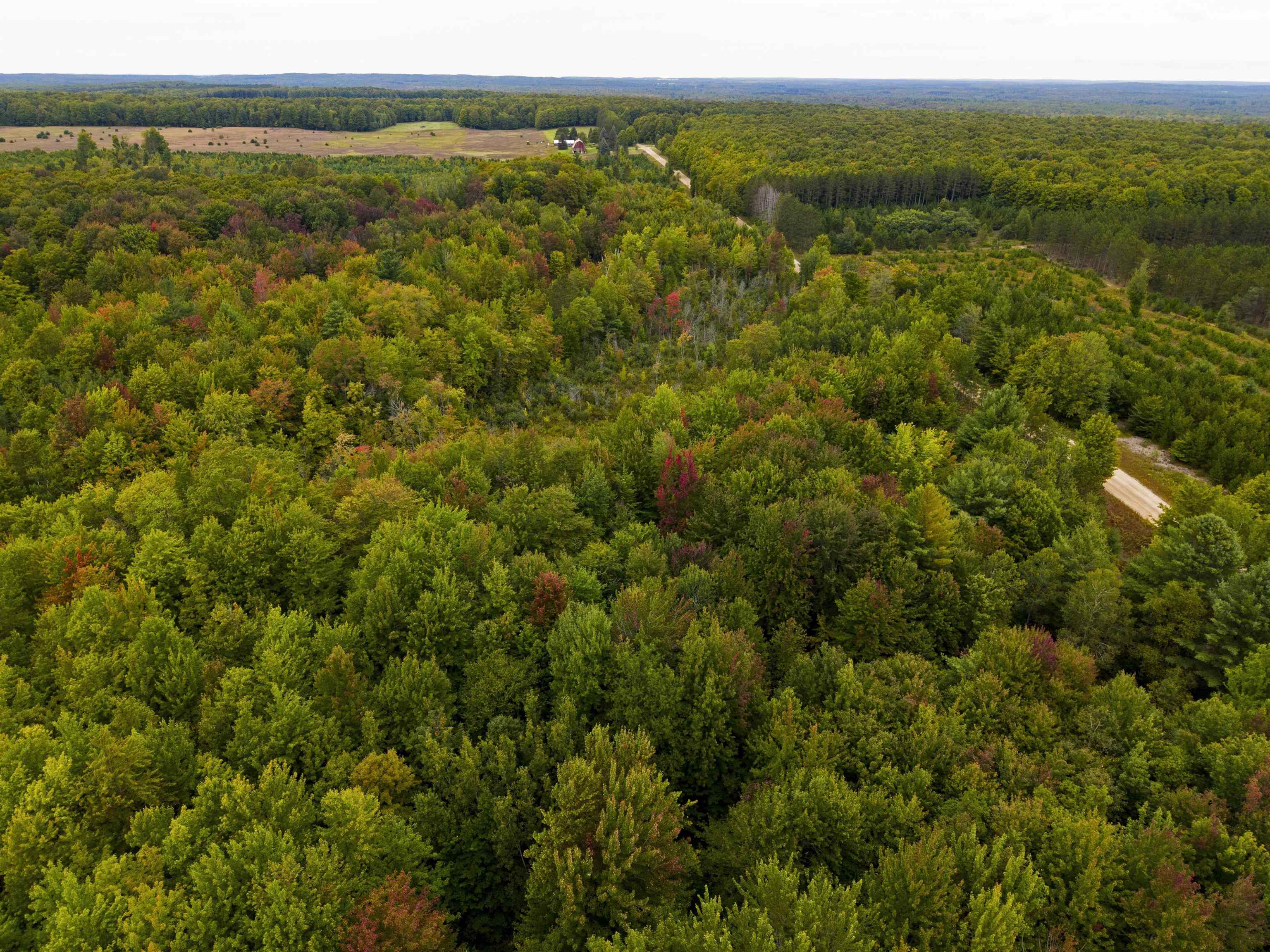 Photo 1 of Land for sale at 0000 W Sharon Rd, Fife Lake, MI 49633 | MLS# 78080074249 | Listing updated on 2026-10-07