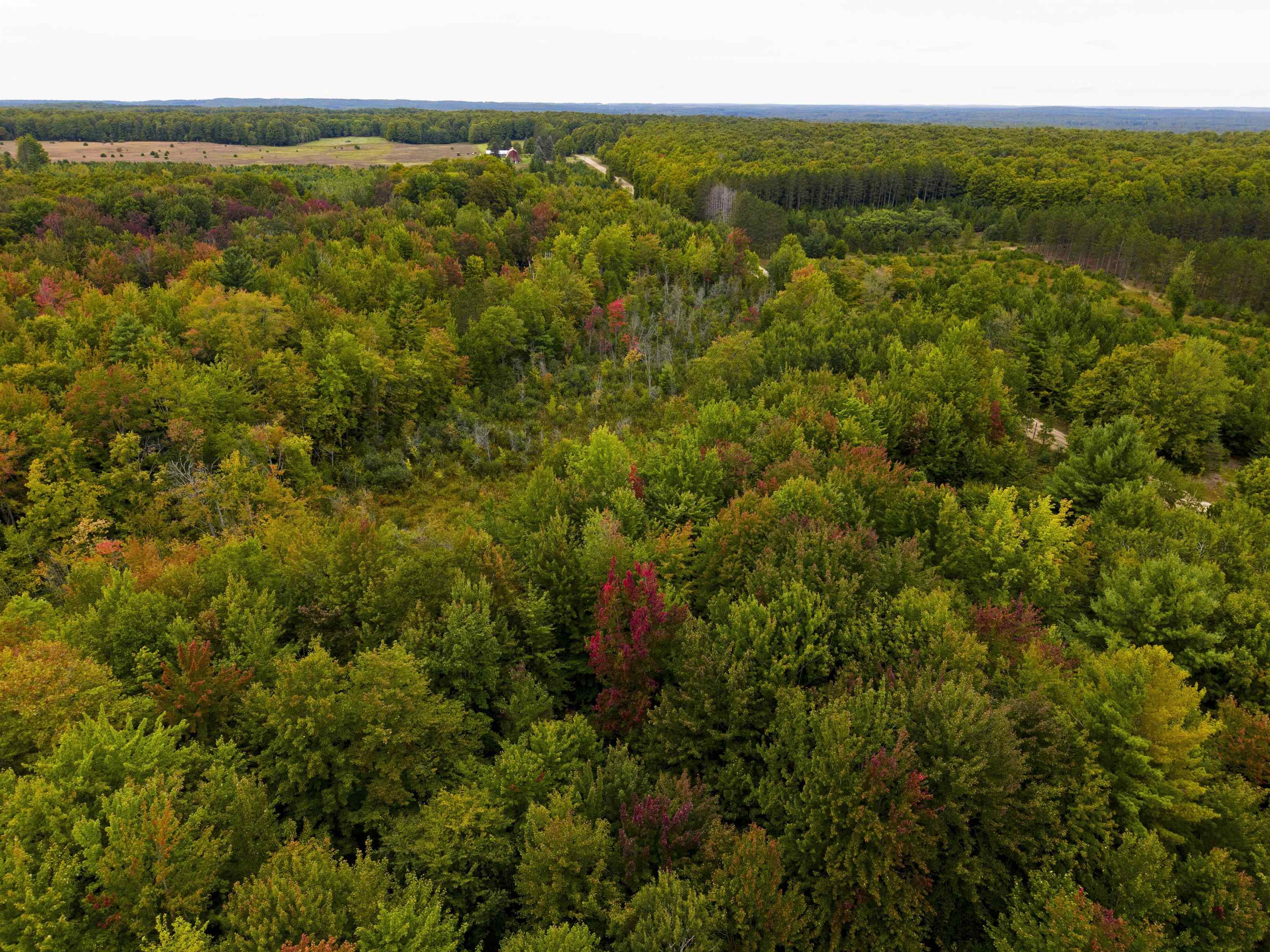 Photo 3 of Land for sale at 0000 W Sharon Rd, Fife Lake, MI 49633 | MLS# 78080074249 | Listing updated on 2026-10-07