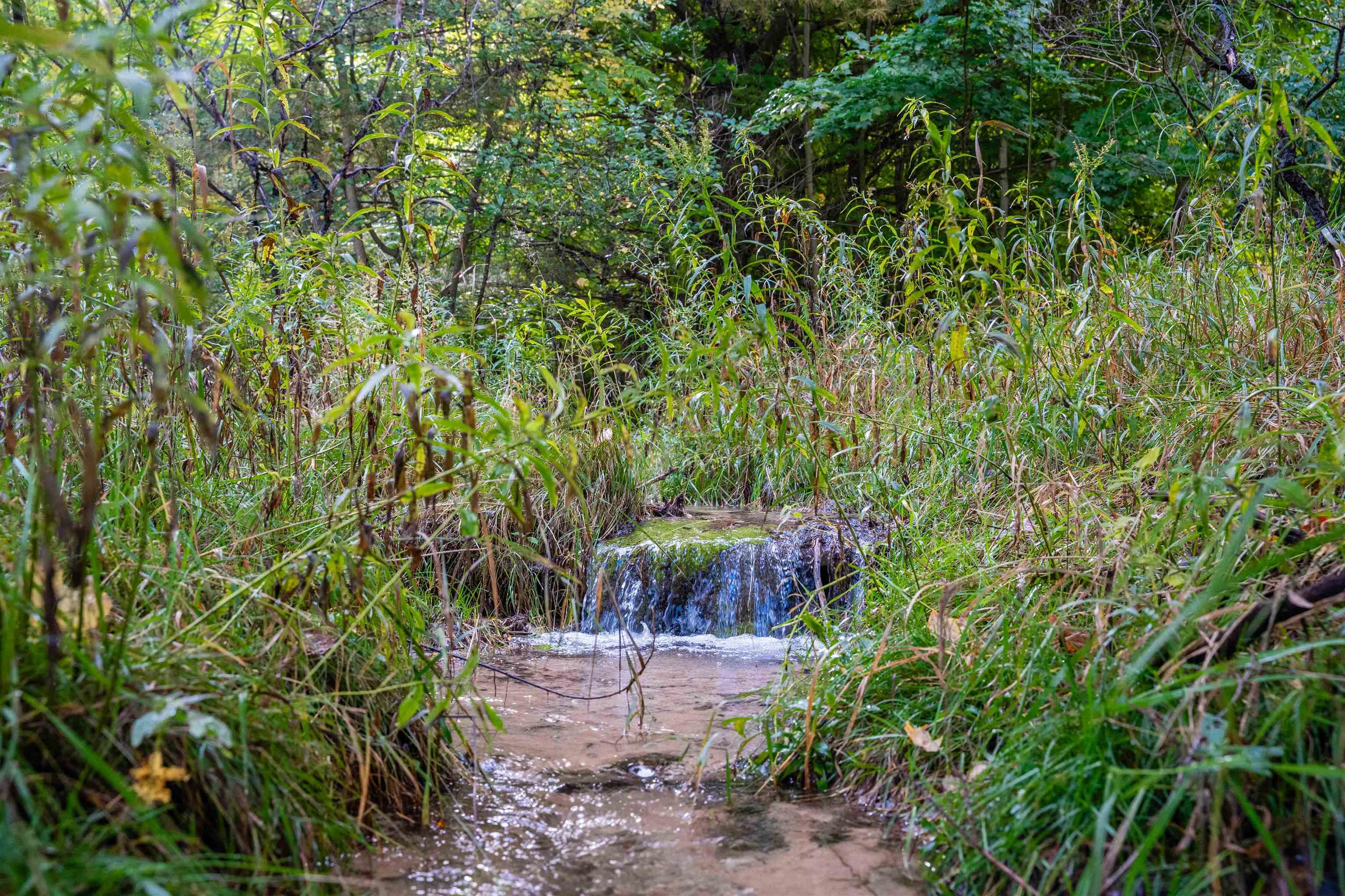 Photo 3 of Land for sale at V/l County Rd 633, Blair Township Grand Traverse, MI 49637 | MLS# 78080074256 | Listing updated on 2026-10-07