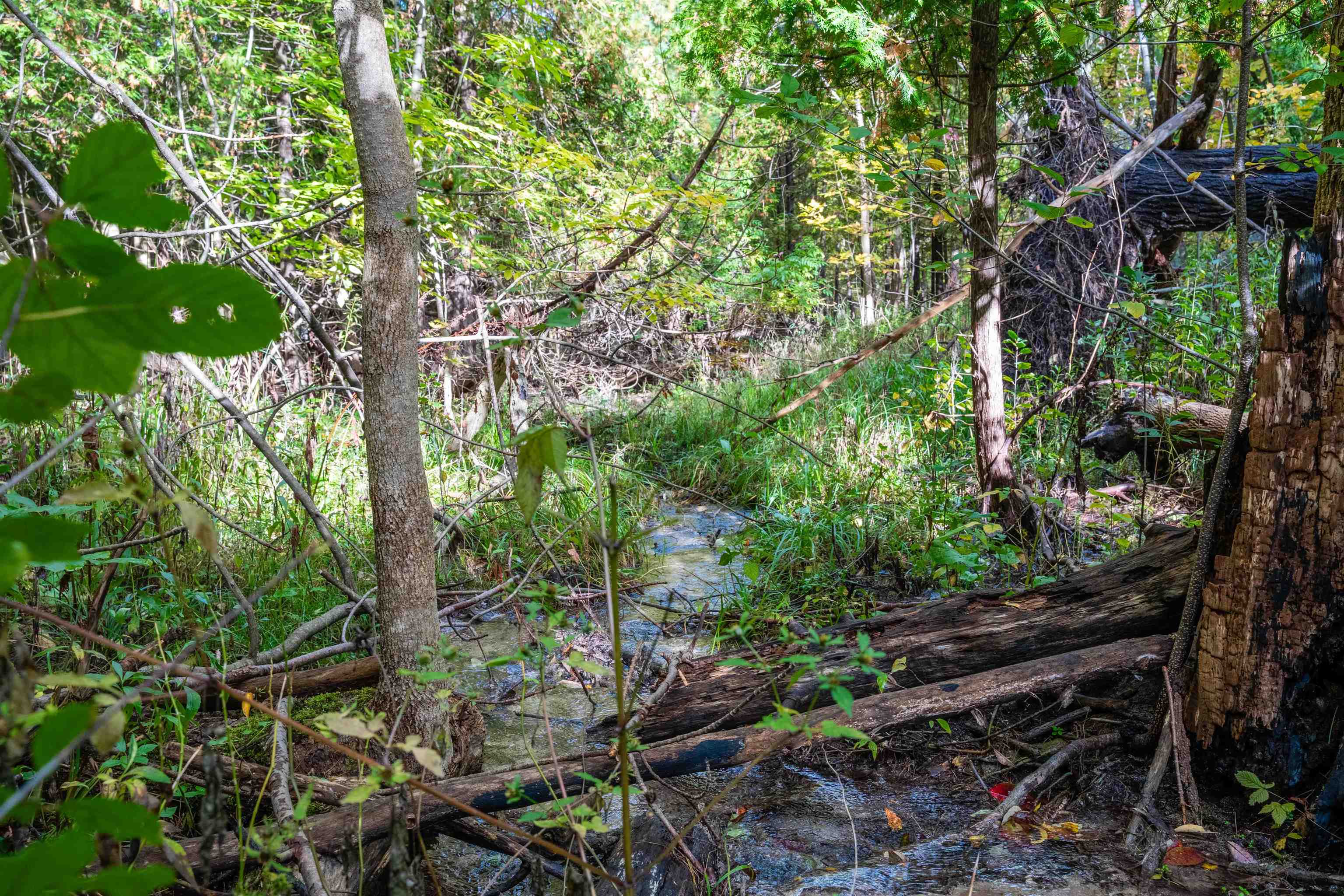 Photo 3 of Land for sale at V/l County Rd 633, Blair Township Grand Traverse, MI 49637 | MLS# 78080074256 | Listing updated on 2026-10-07