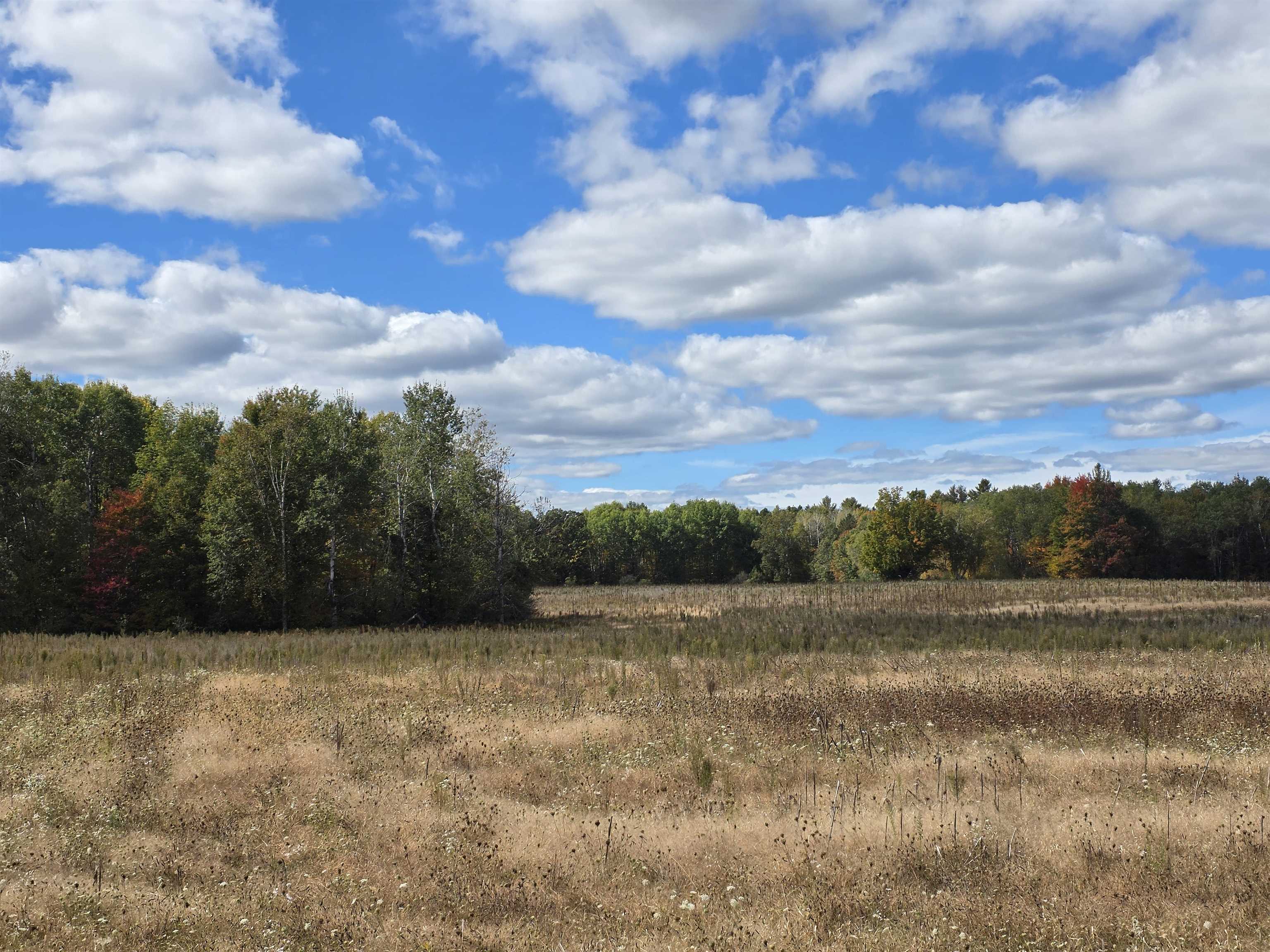 Photo 1 of Land for sale at 00 Towerline Rd, Hale, MI 48739 | MLS# 77080074258 | Listing updated on 2026-10-07