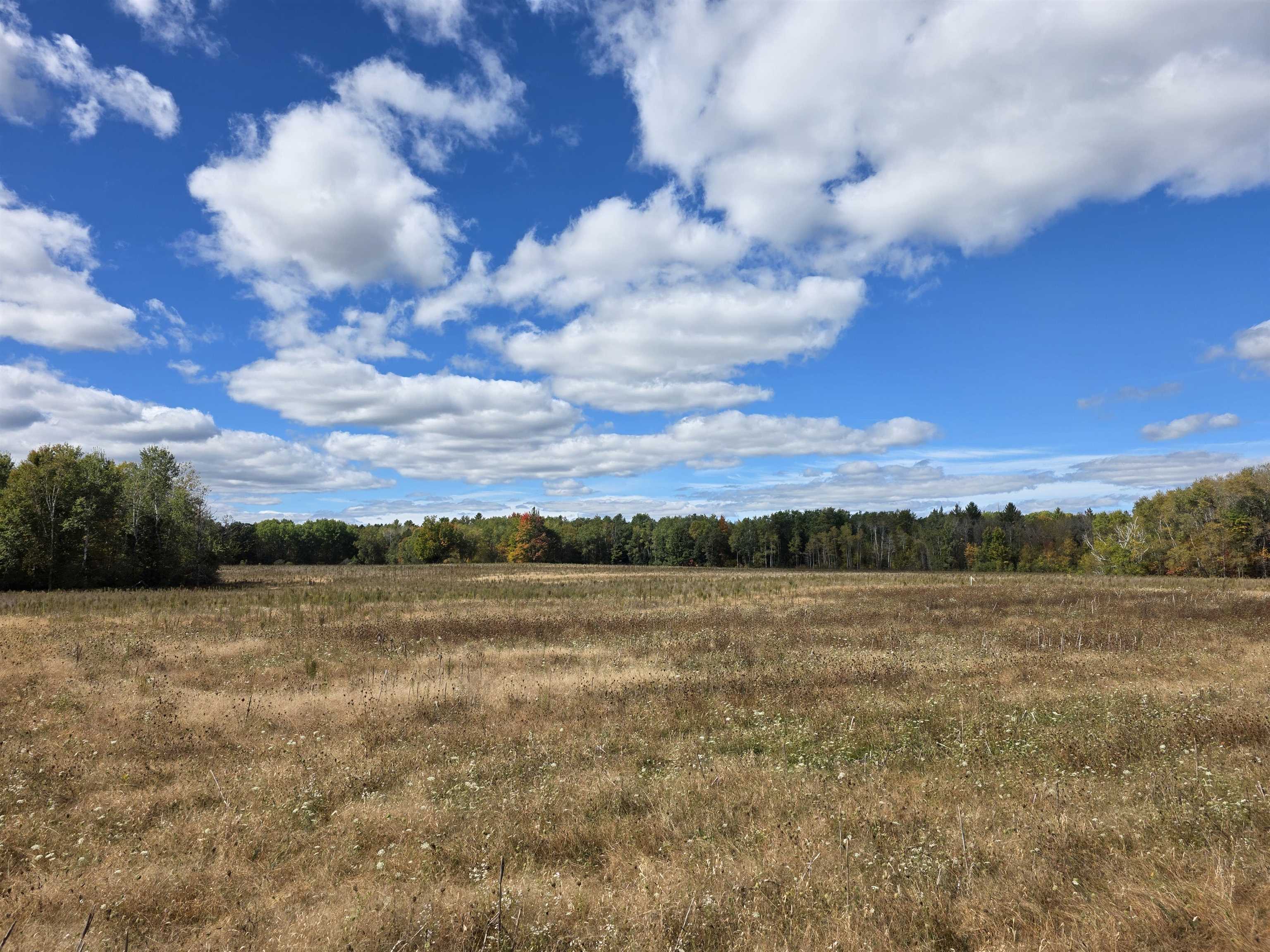 Photo 2 of Land for sale at 00 Towerline Rd, Hale, MI 48739 | MLS# 77080074258 | Listing updated on 2026-10-07