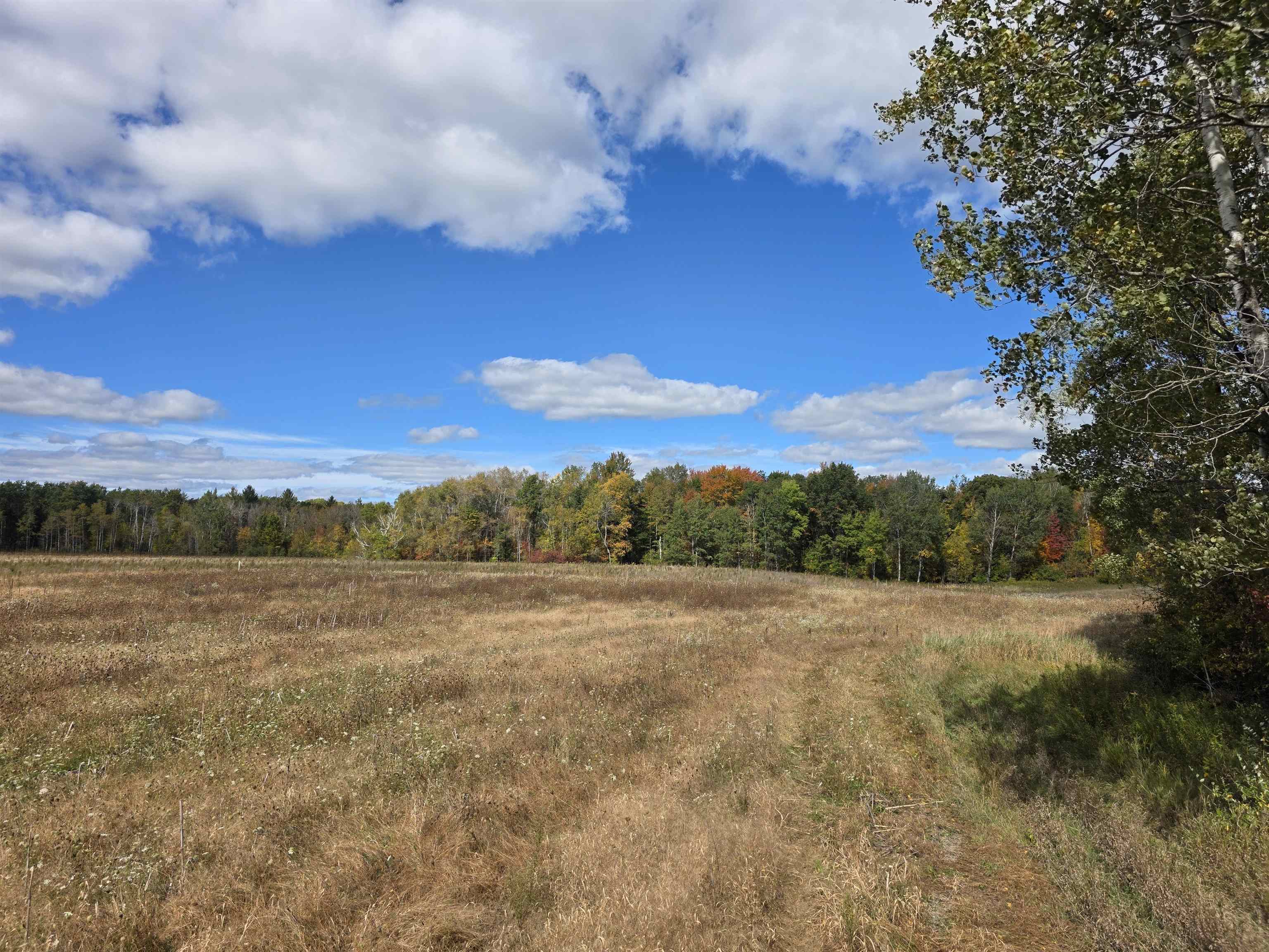 Photo 3 of Land for sale at 00 Towerline Rd, Hale, MI 48739 | MLS# 77080074258 | Listing updated on 2026-10-07