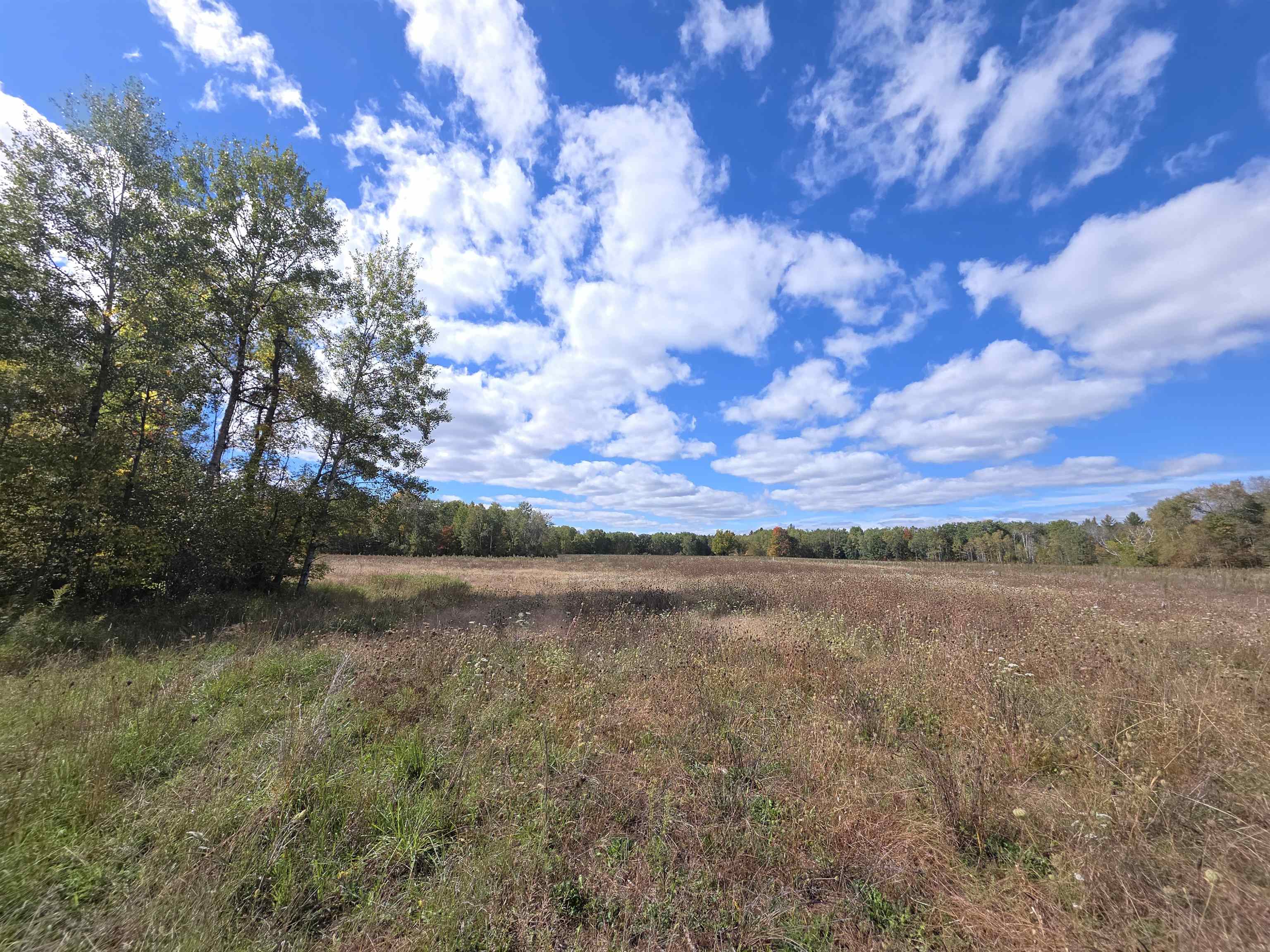 Photo 3 of Land for sale at 00 Towerline Rd, Hale, MI 48739 | MLS# 77080074258 | Listing updated on 2026-10-07