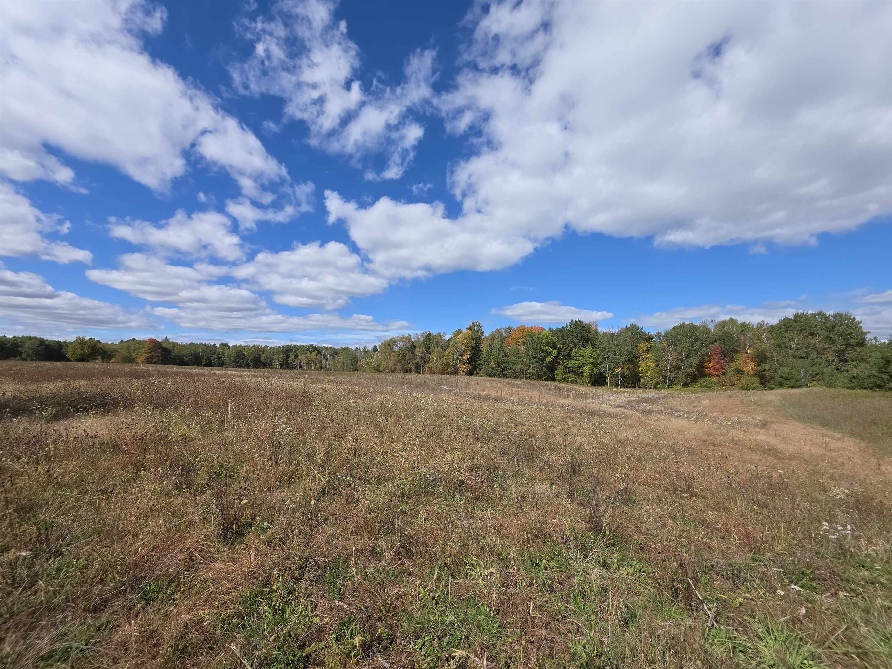 Photo 4 of Land for sale at 00 Towerline Rd, Hale, MI 48739 | MLS# 77080074258 | Listing updated on 2026-10-07