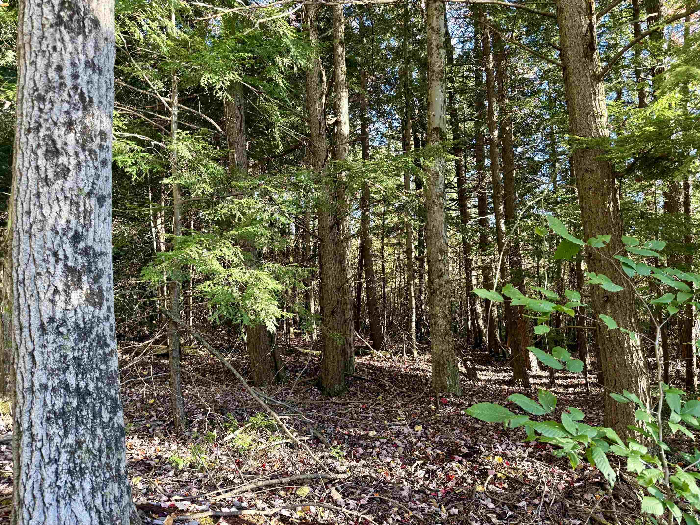 Photo 2 of Land for sale at V/l E 30 Road, Cadillac, MI 49601 | MLS# 78080074259 | Listing updated on 2026-10-06