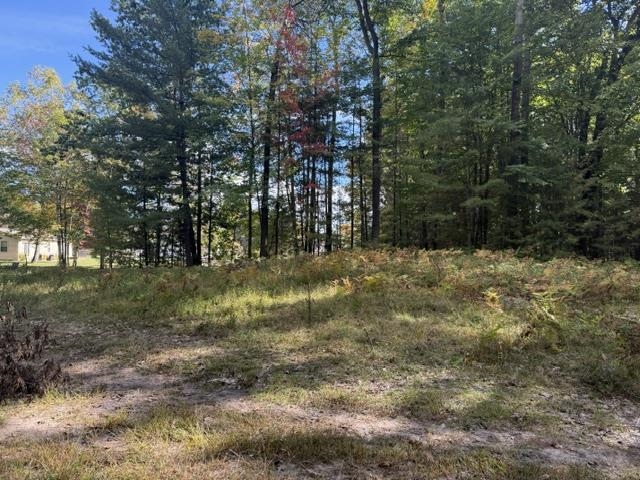 Photo 3 of Land for sale at V/l 41 Ac Old Trl, Houghton Lake, MI 48629 | MLS# 80074270 | Listing updated on 2026-10-06