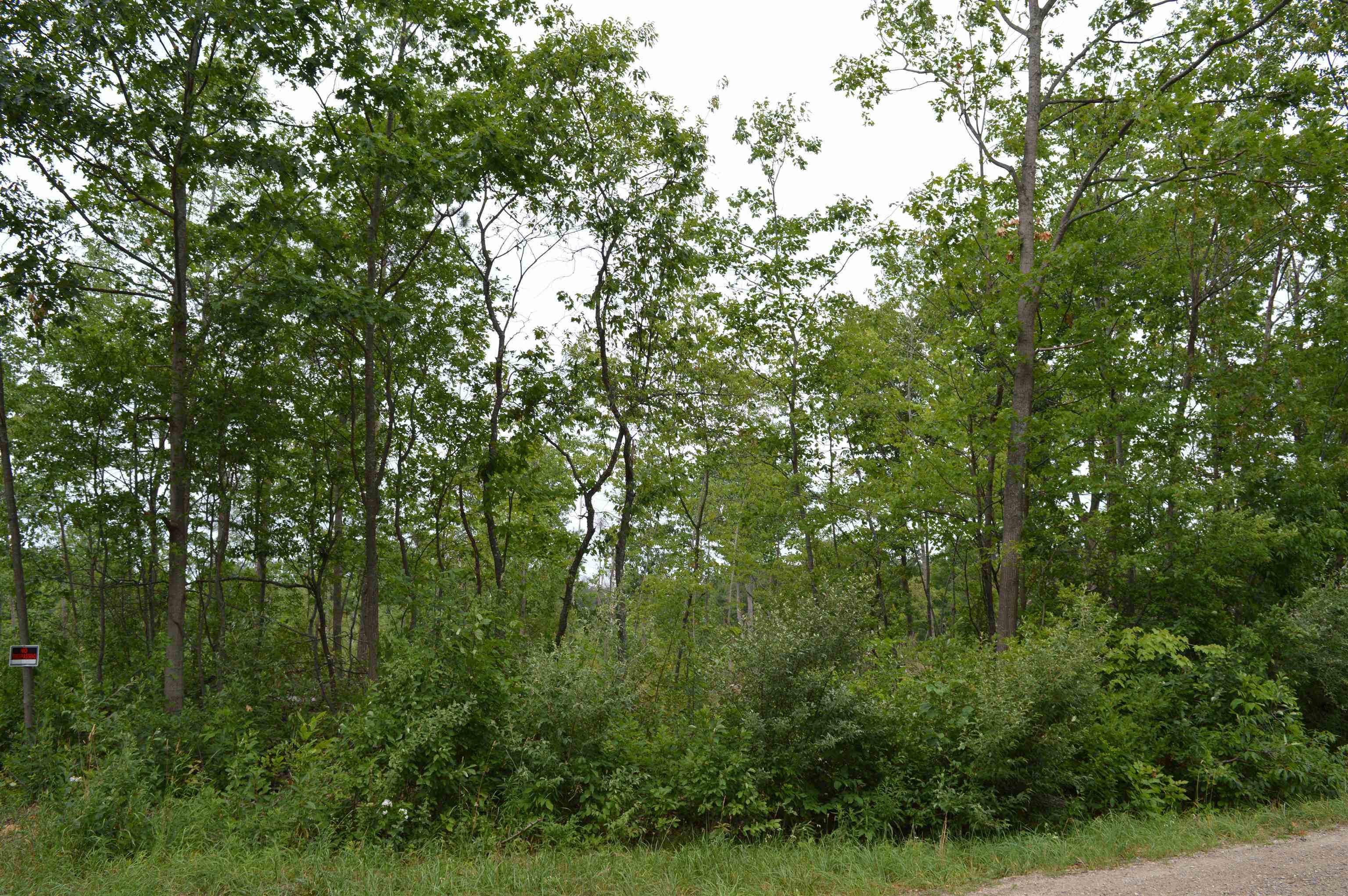Land for sale at Fisher Rd, Traverse City, MI 49685 | MLS# 78080074280