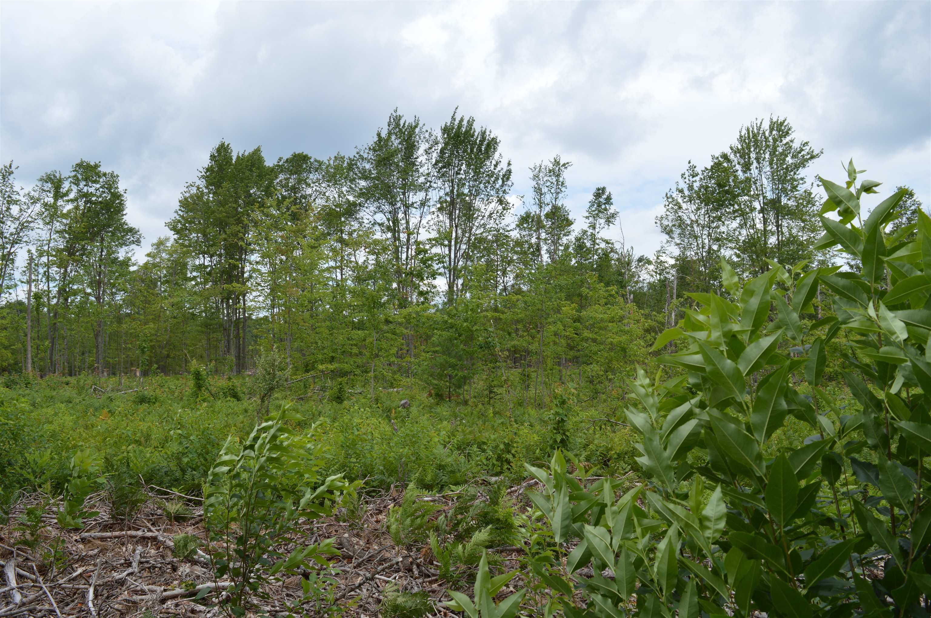 Photo 3 of Land for sale at Fisher Rd, Traverse City, MI 49685 | MLS# 78080074280 | Listing updated on 2026-10-06