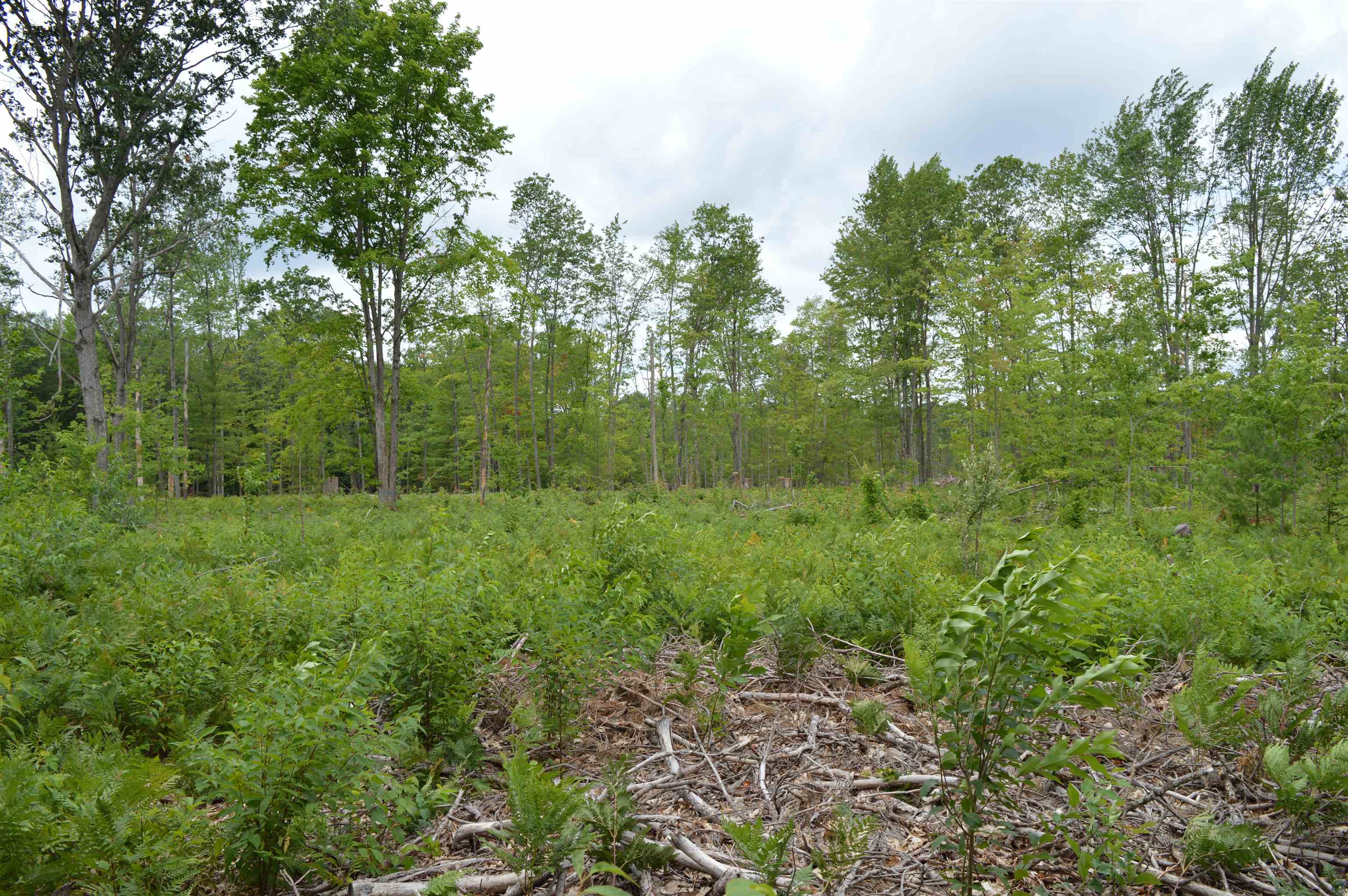 Photo 4 of Land for sale at Fisher Rd, Traverse City, MI 49685 | MLS# 78080074280 | Listing updated on 2026-10-06