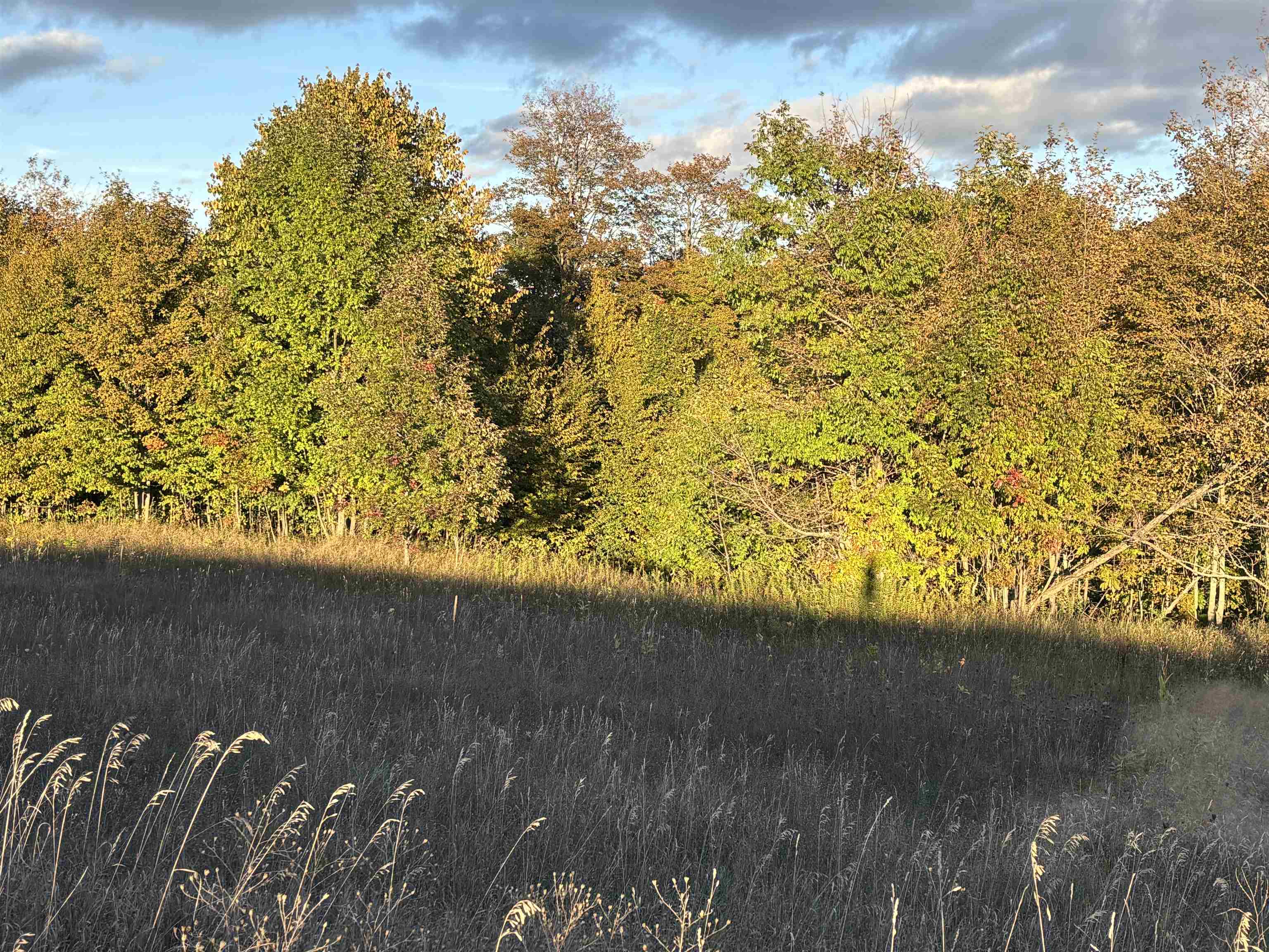 Photo 3 of Land for sale at N Brencris Ln, Suttons Bay, MI 49682 | MLS# 80074288 | Listing updated on 2026-10-07