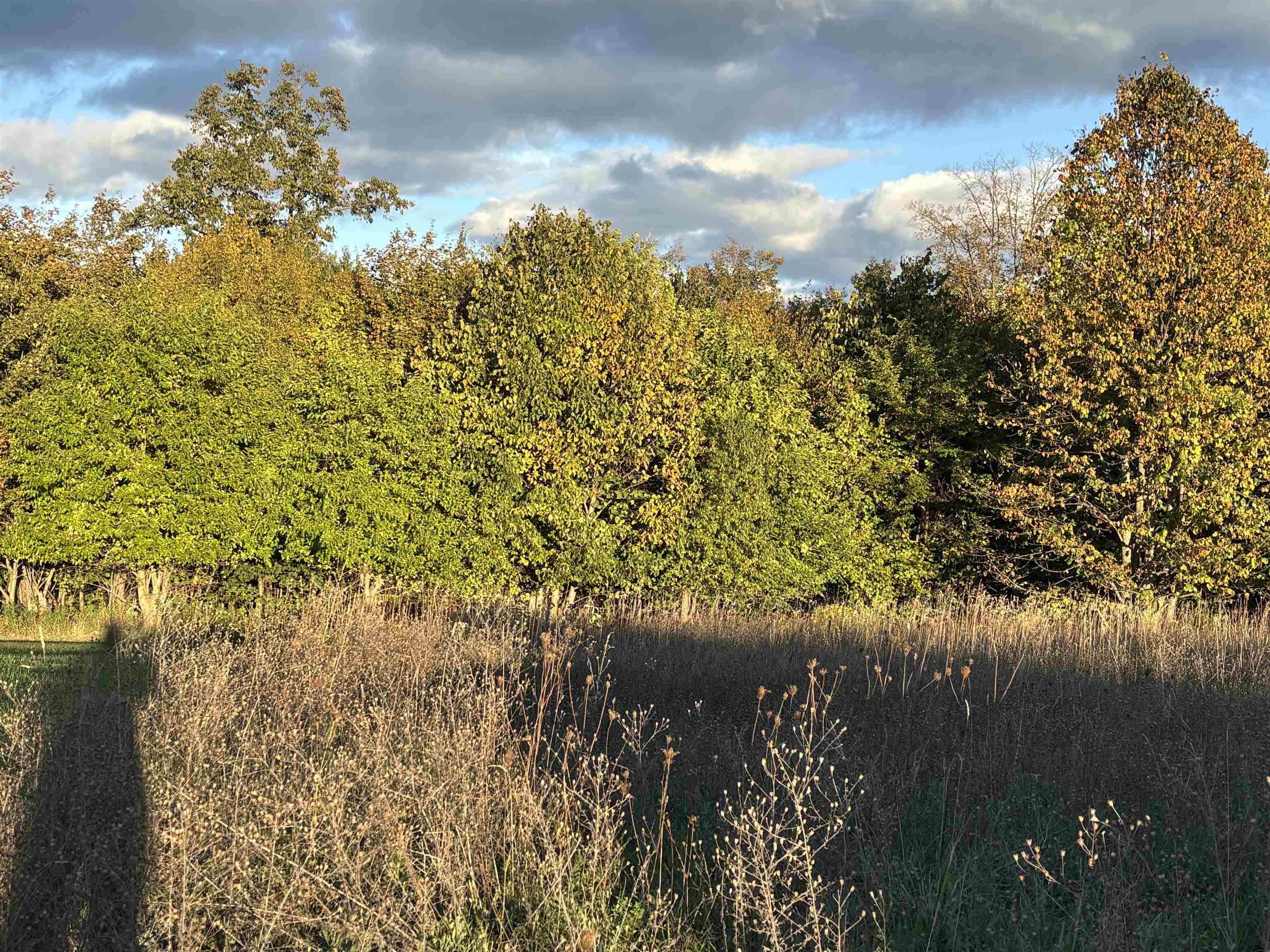 Photo 4 of Land for sale at N Brencris Ln, Suttons Bay, MI 49682 | MLS# 80074288 | Listing updated on 2026-10-07