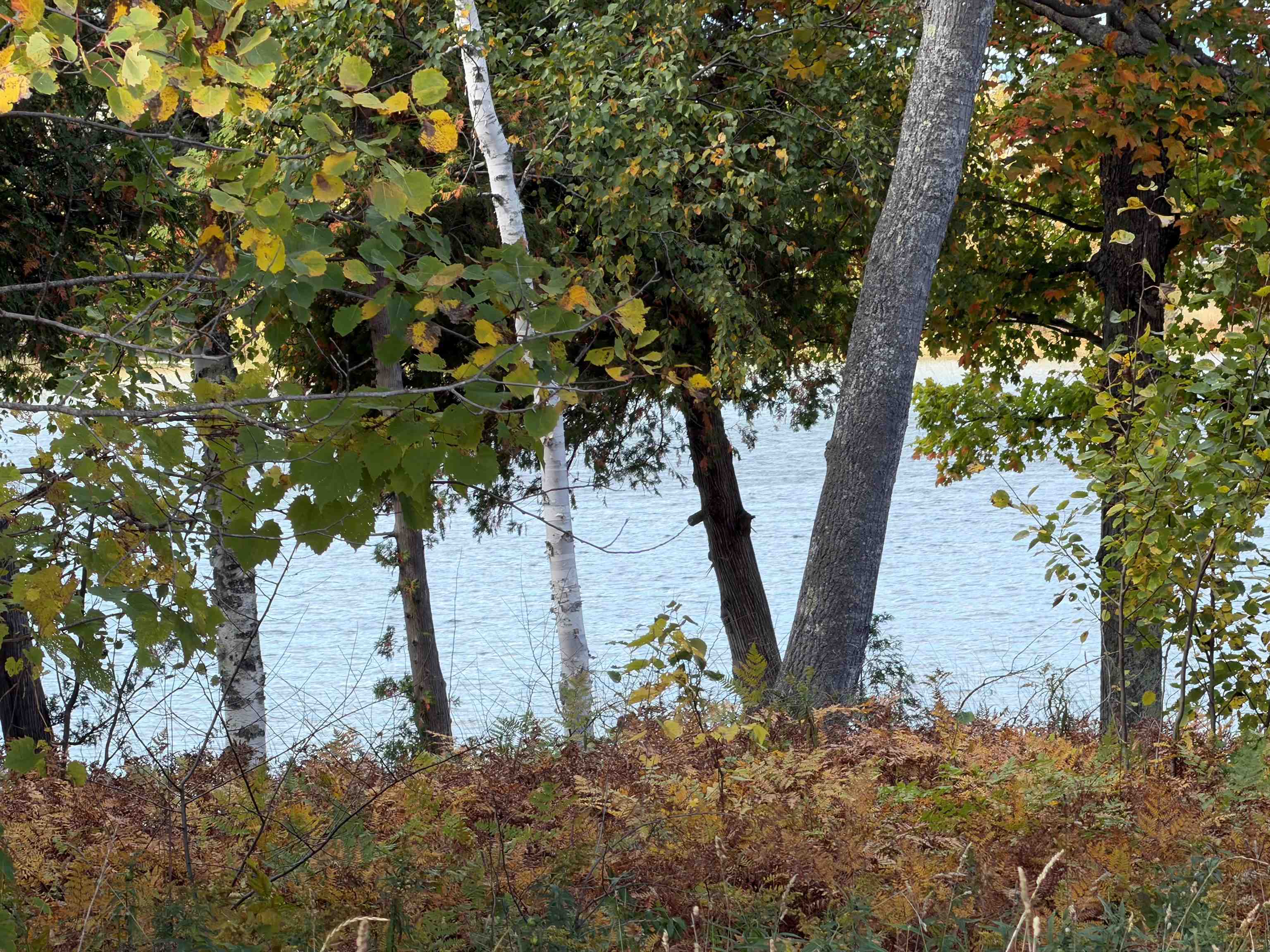 Land for sale at 7777 Mulberry Ln, Charlevoix, MI 49720 | MLS# 78080074291